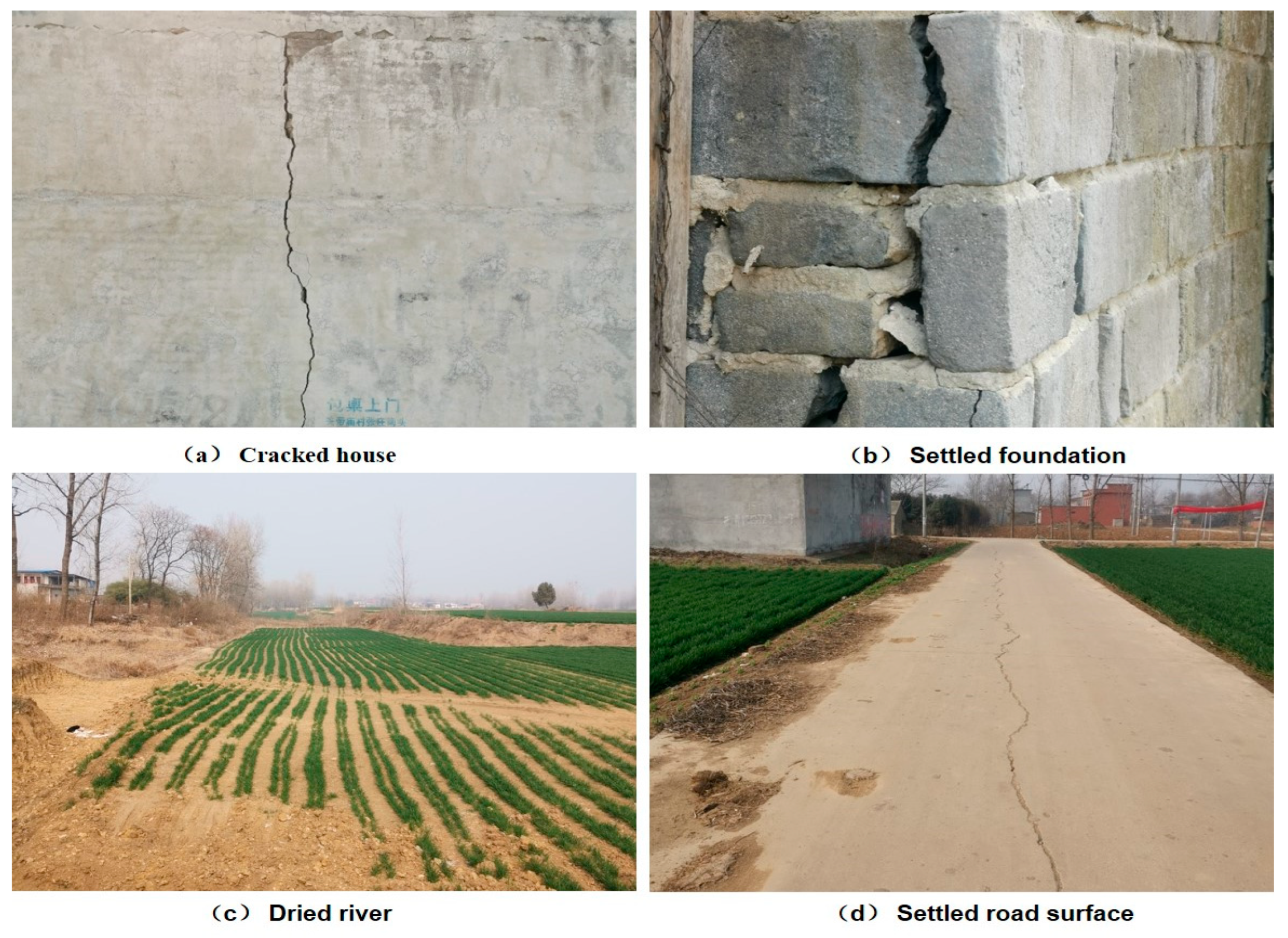 Agronomy 14 01434 g009