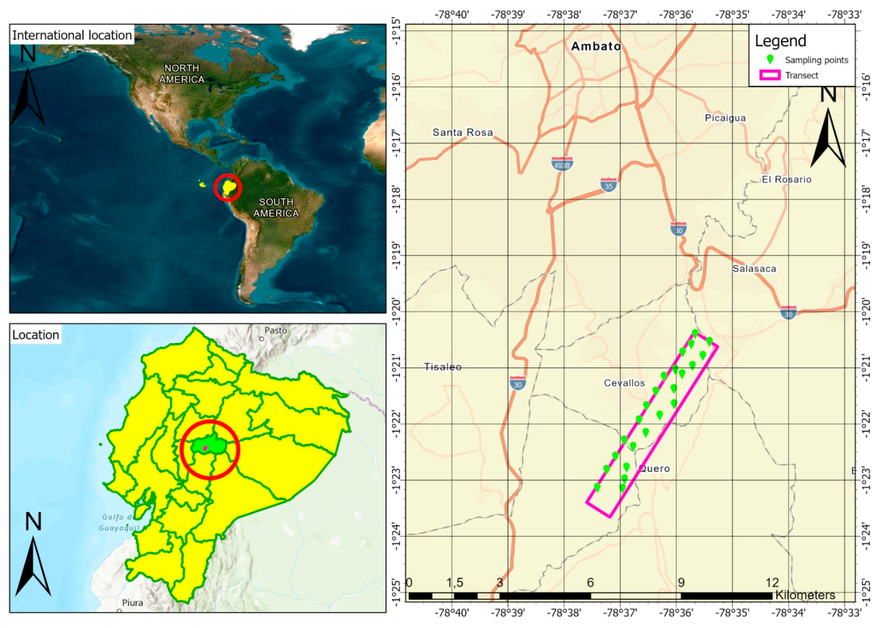 Agronomy 14 01436 g001