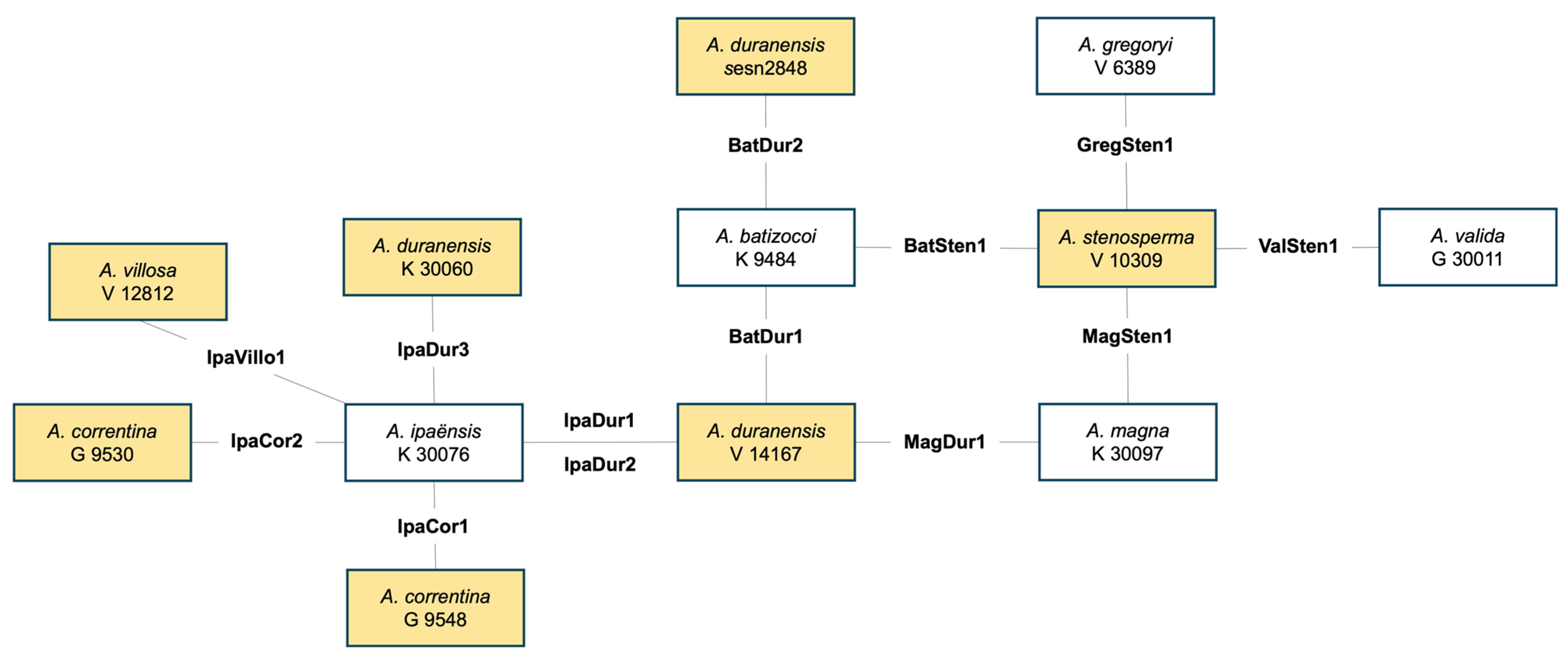 Agronomy 14 01442 g001