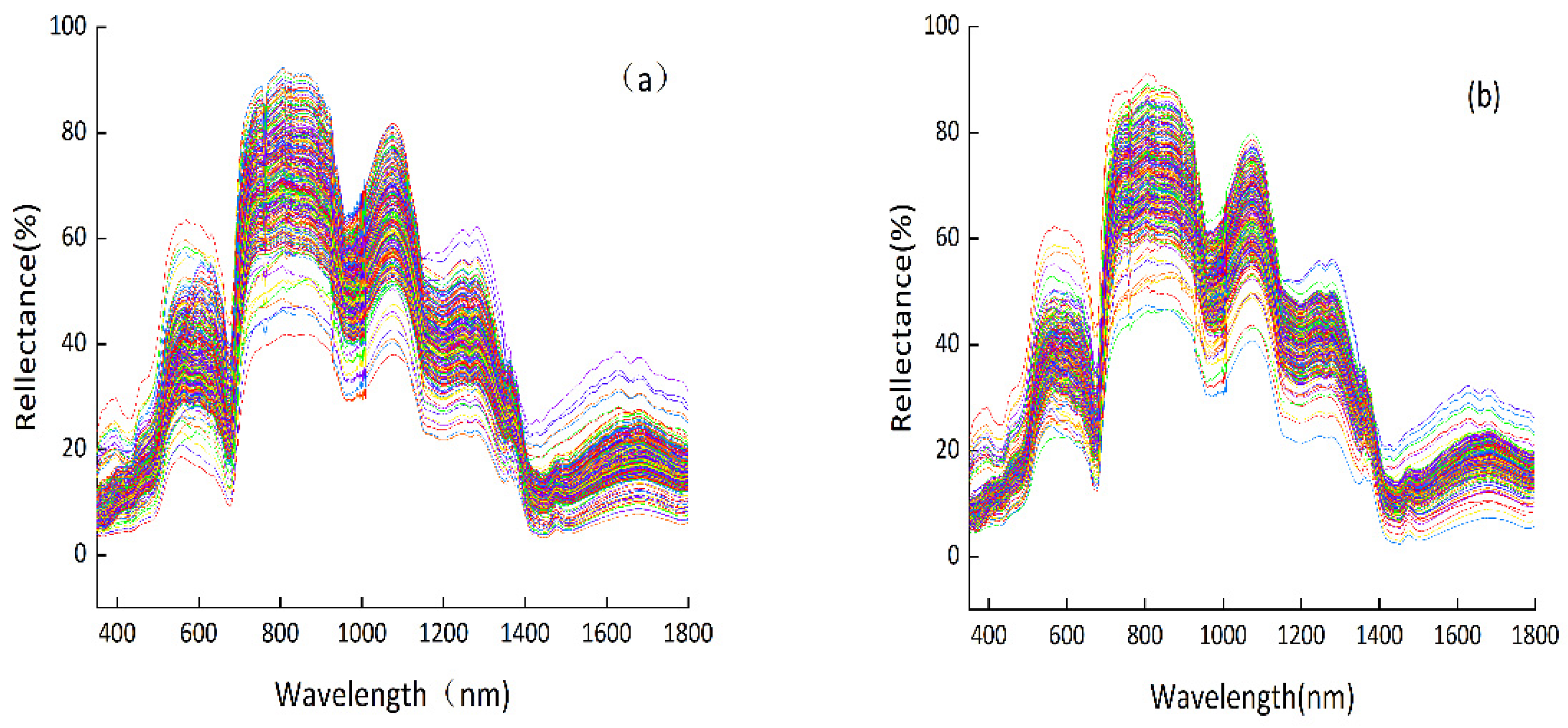 Agronomy 14 01450 g002 Agronomy 14 01450 g002