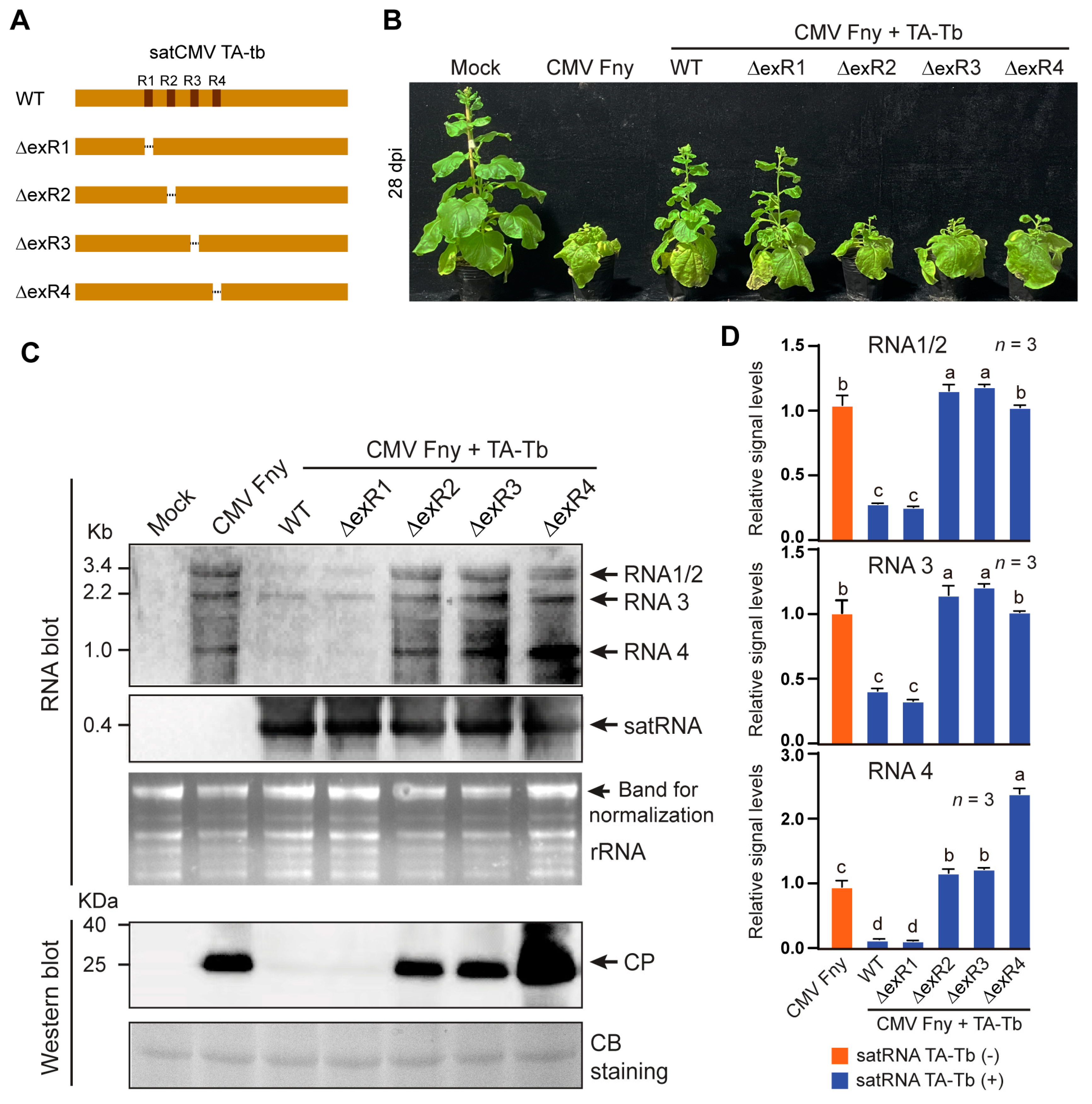 Agronomy 14 01451 g004