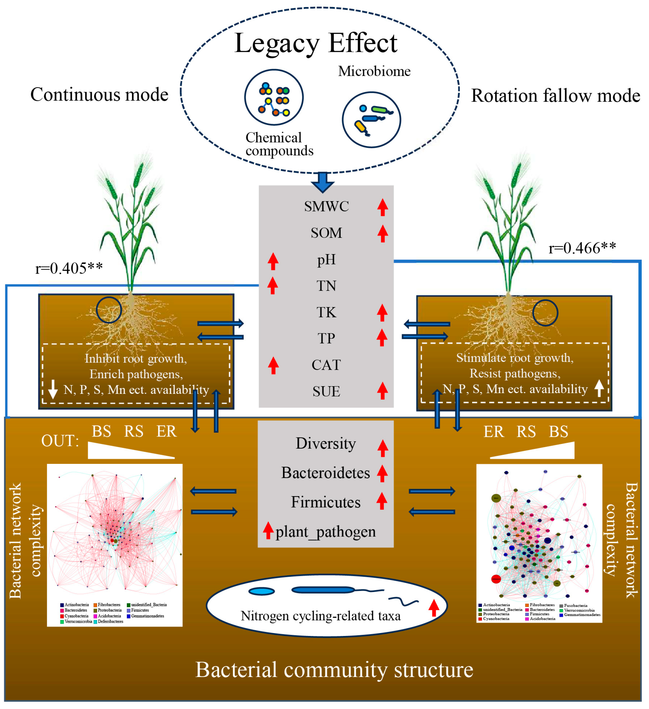 Agronomy 14 01456 g008