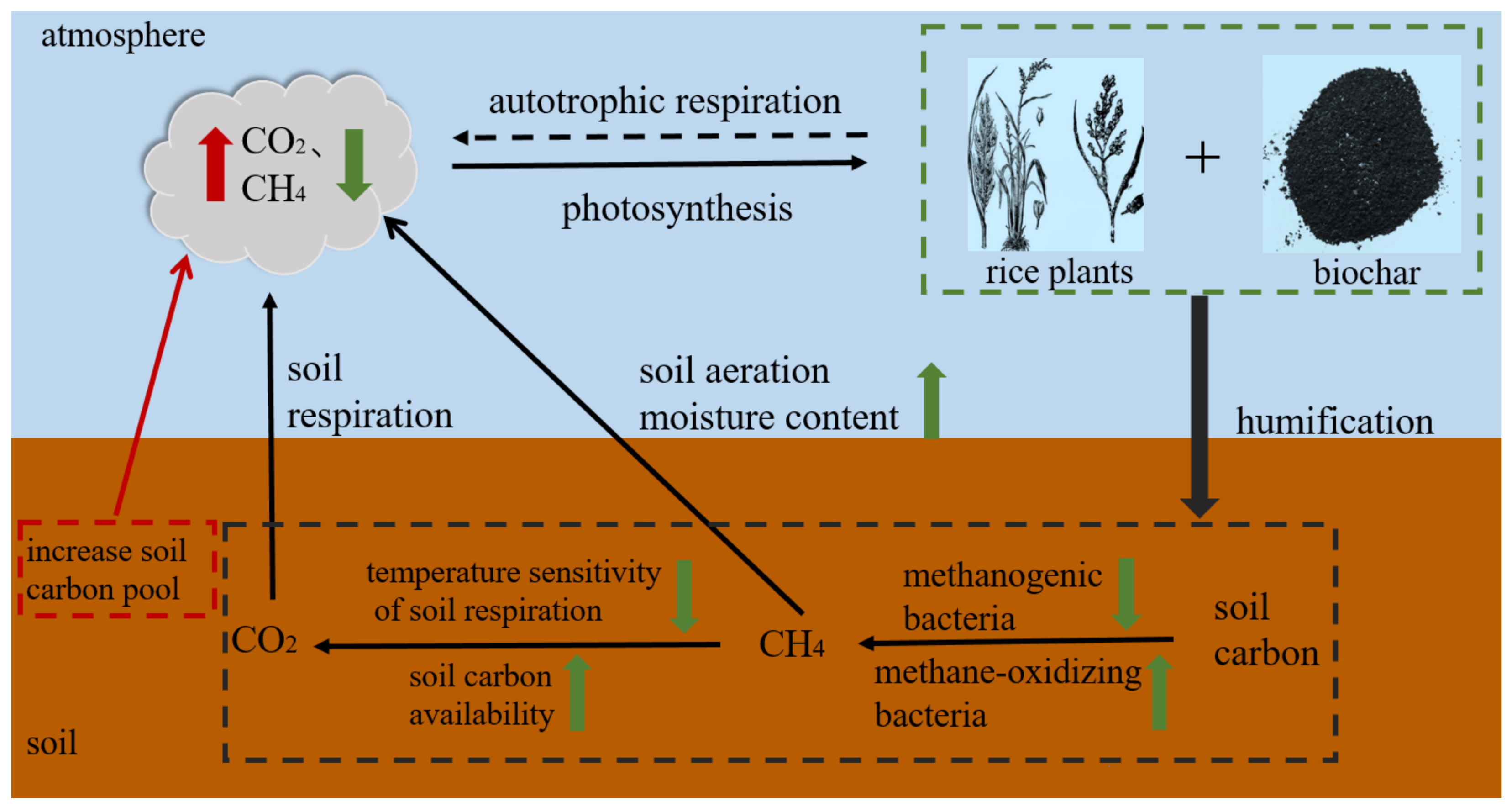 Agronomy 14 01461 g001