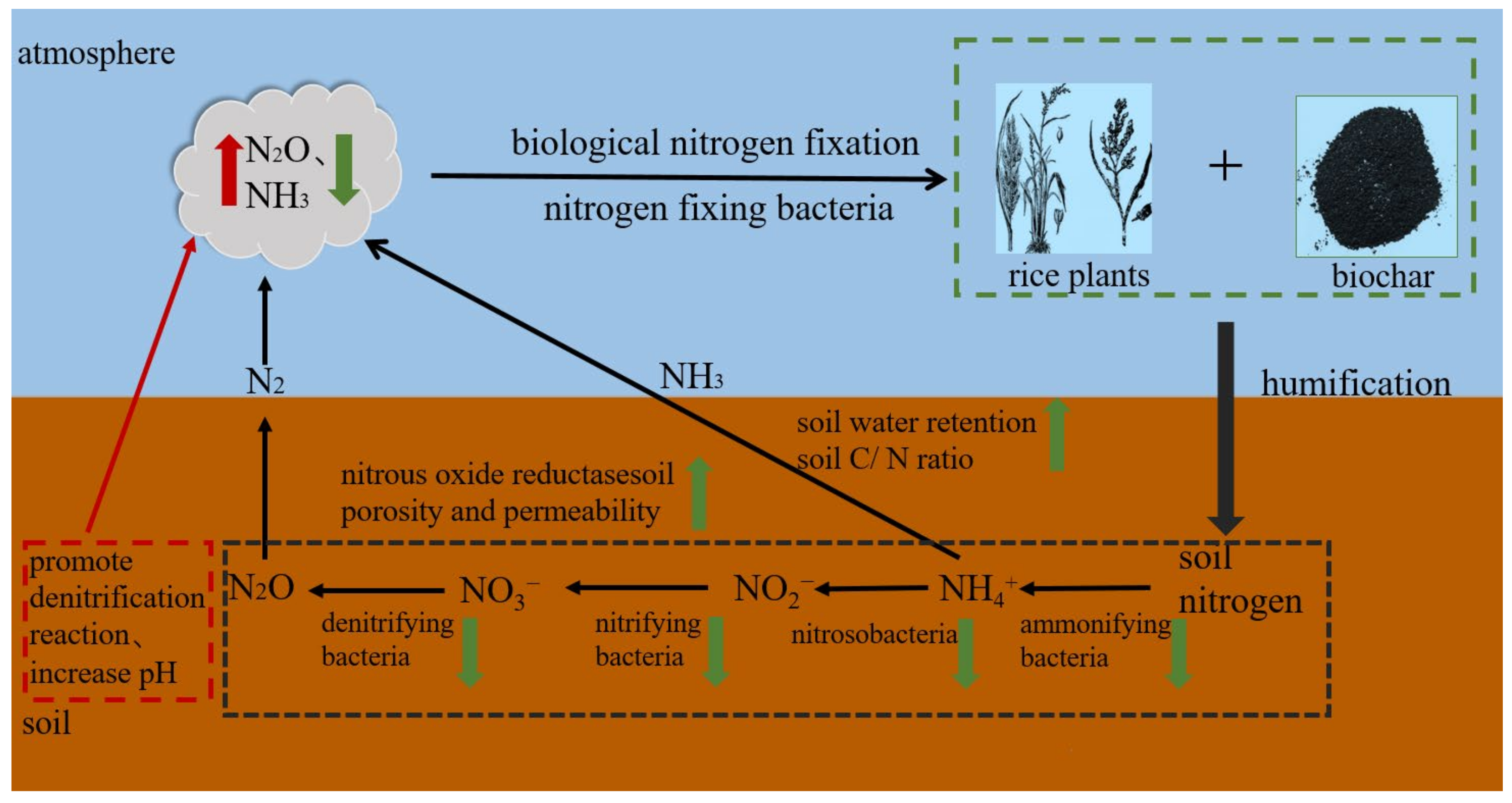 Agronomy 14 01461 g002