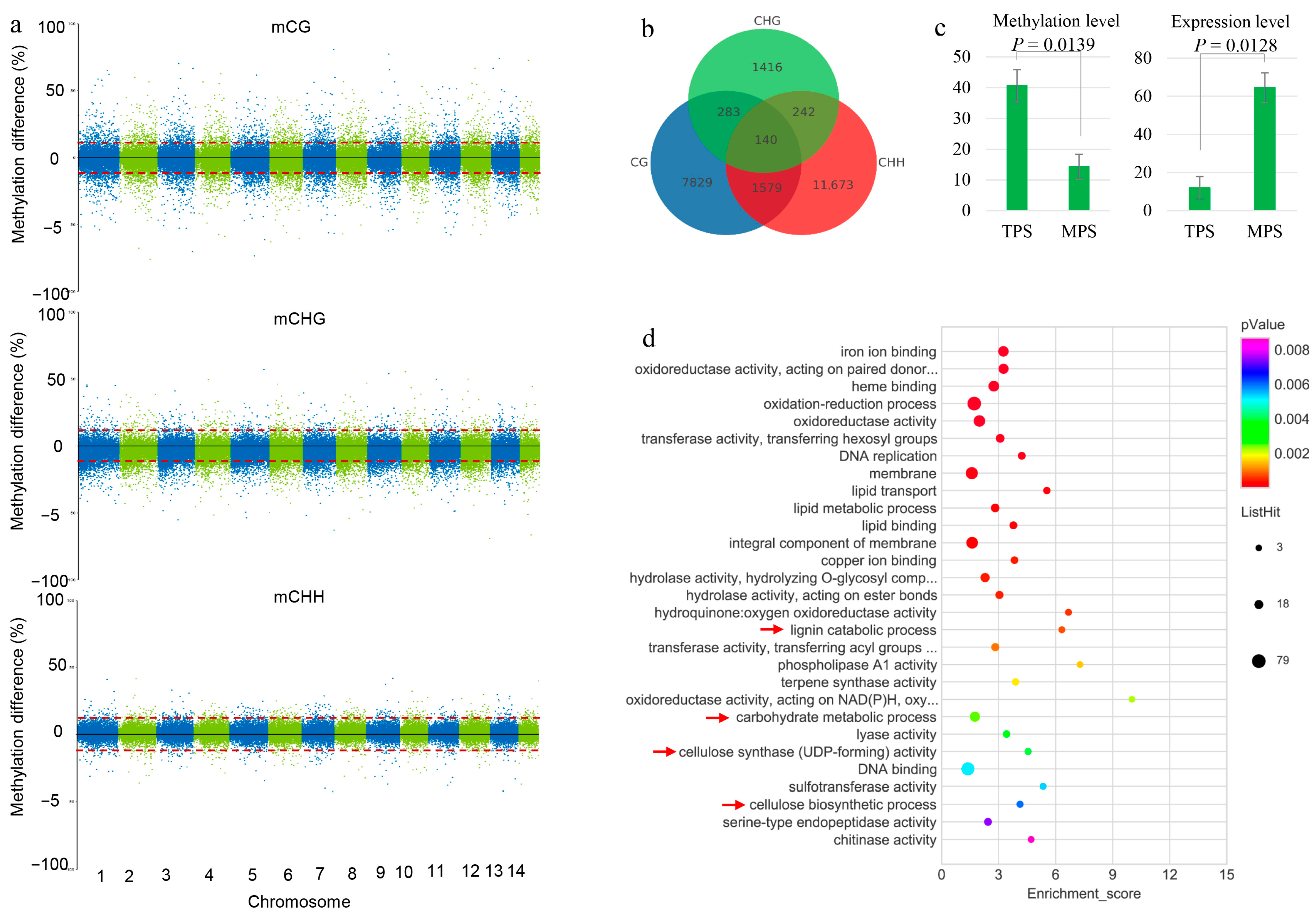 Agronomy 14 01467 g002