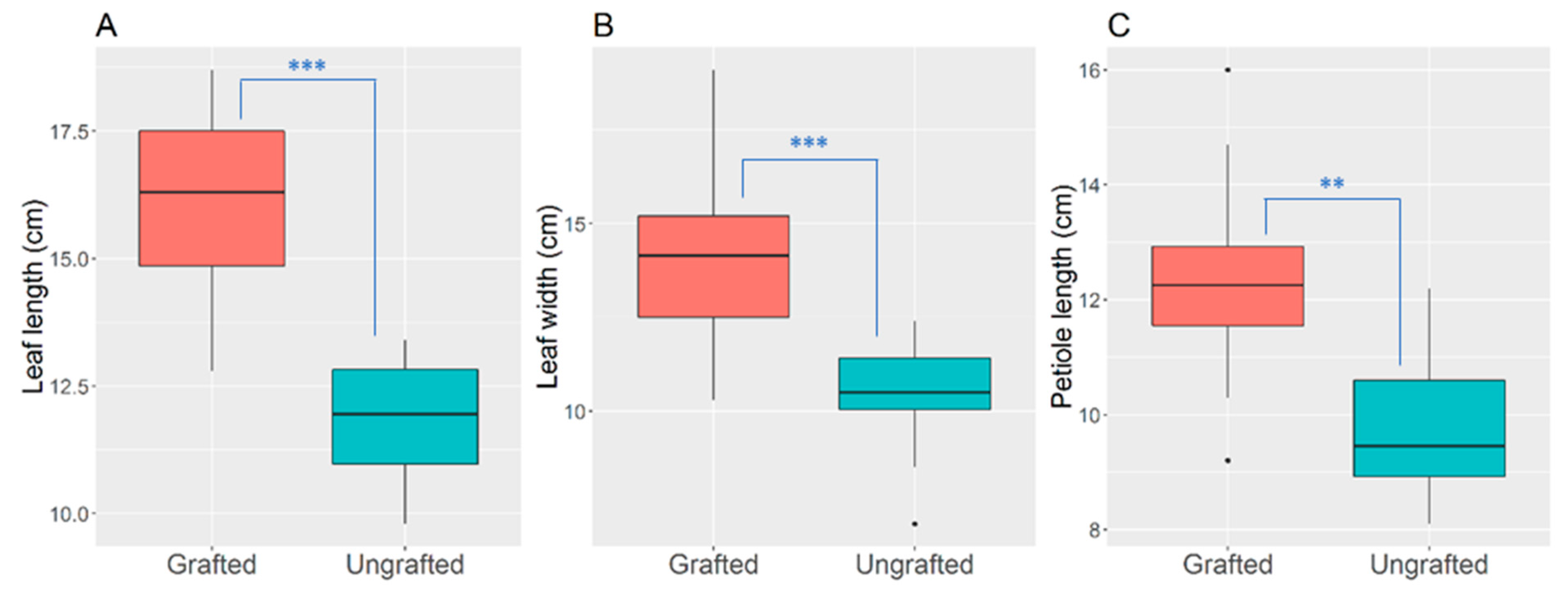 Agronomy 14 01472 g002