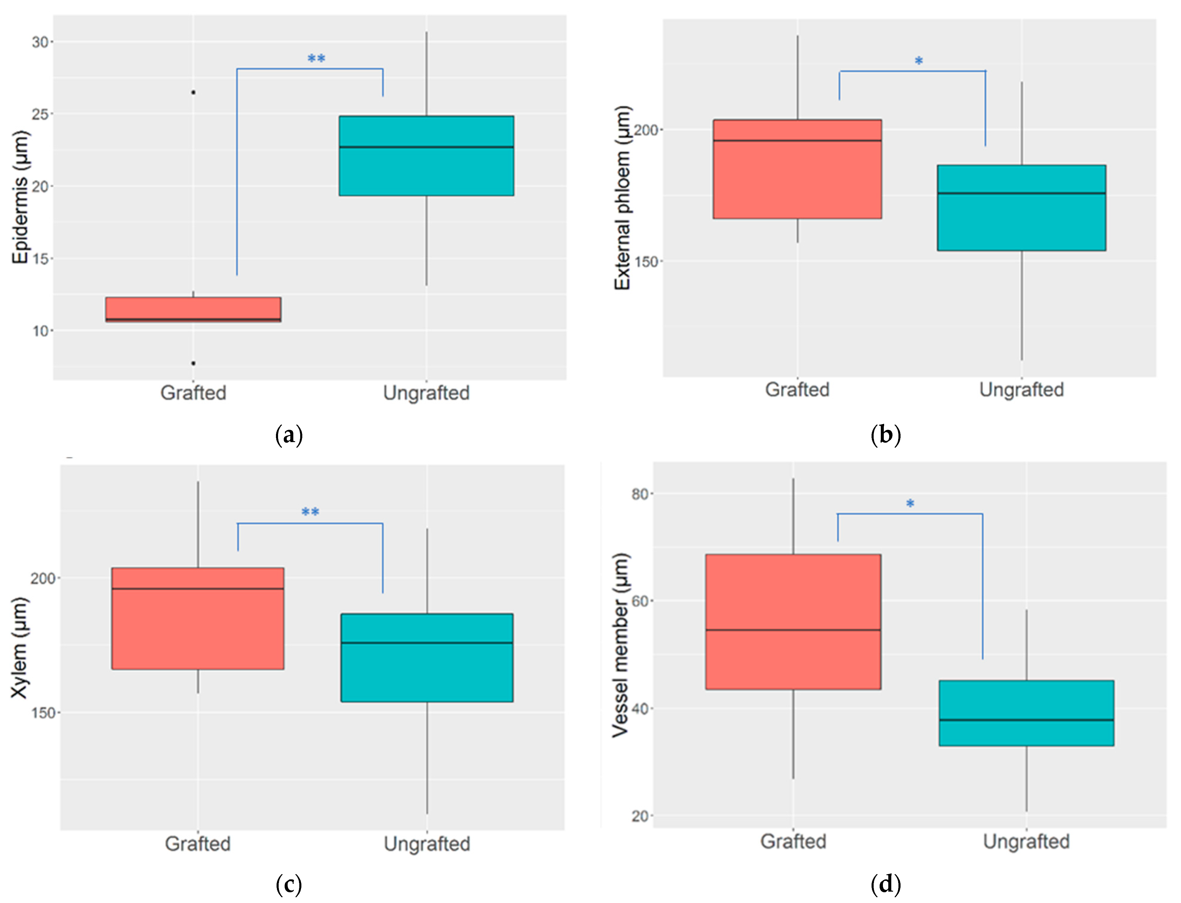 Agronomy 14 01472 g005