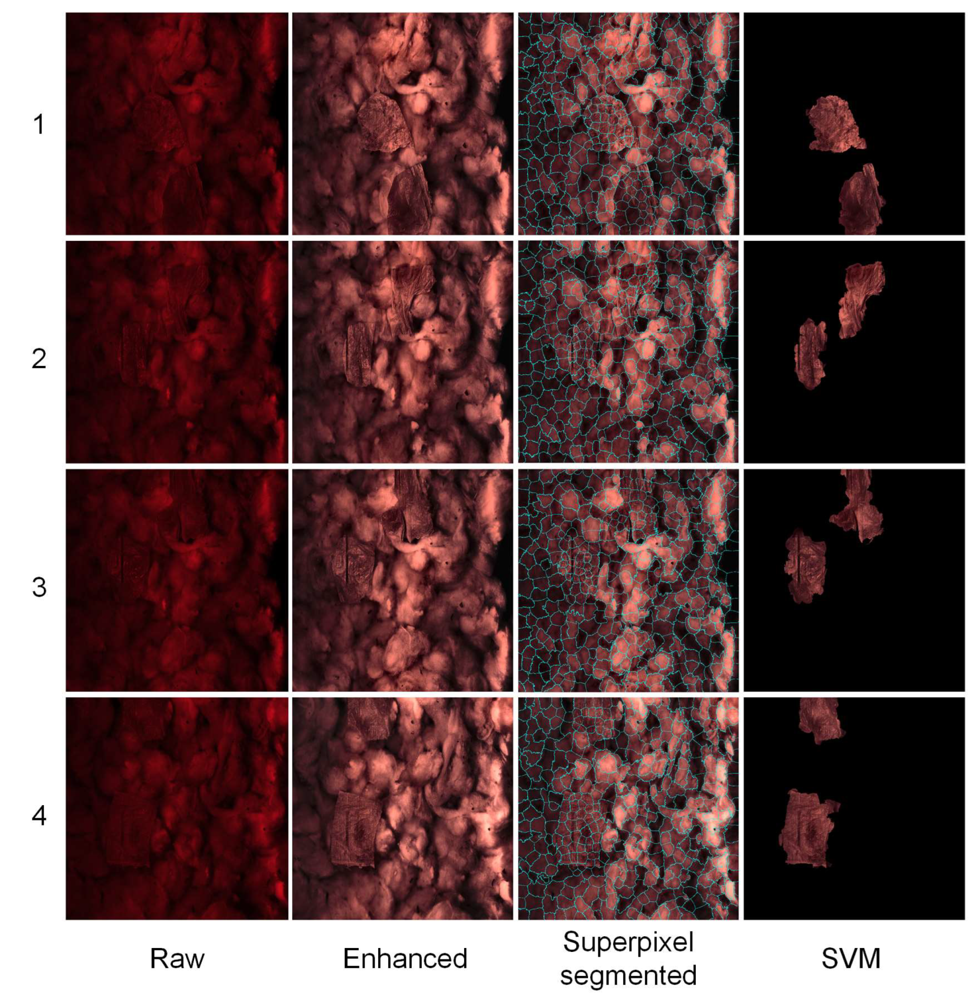 Agronomy 14 01481 g011