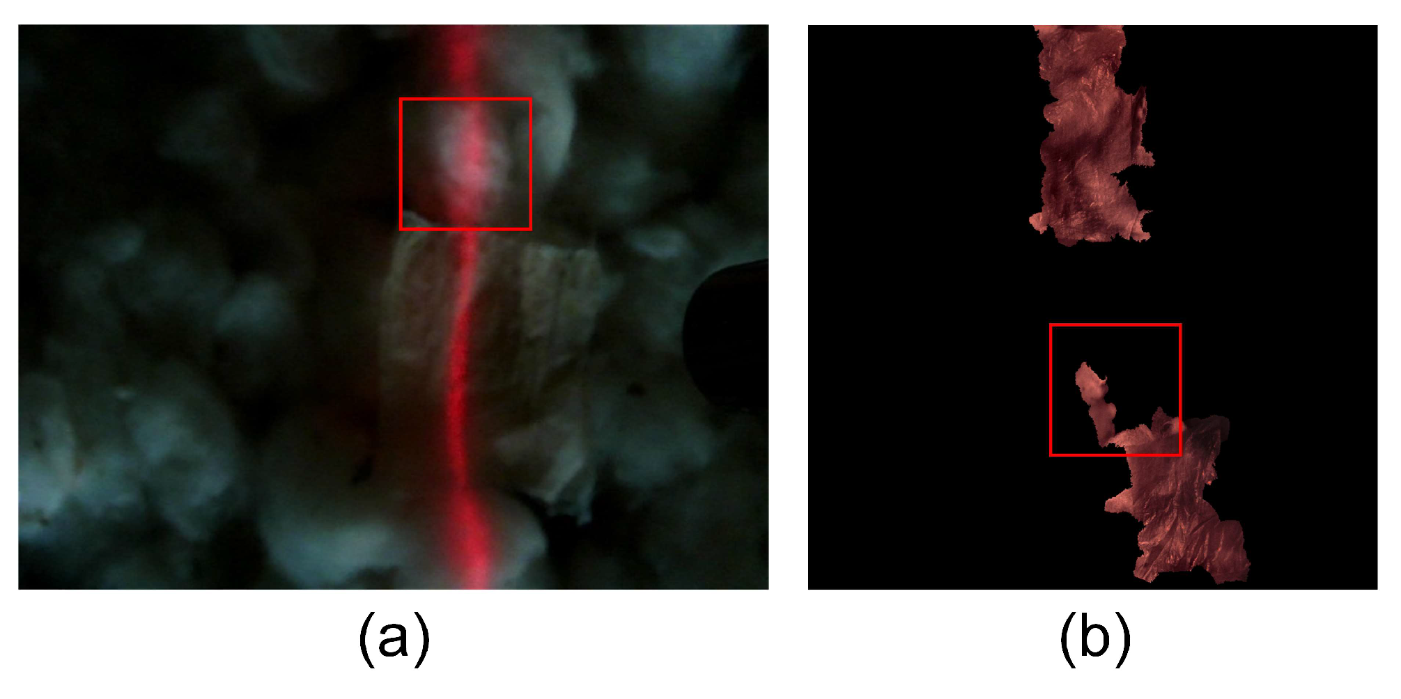 Agronomy 14 01481 g012