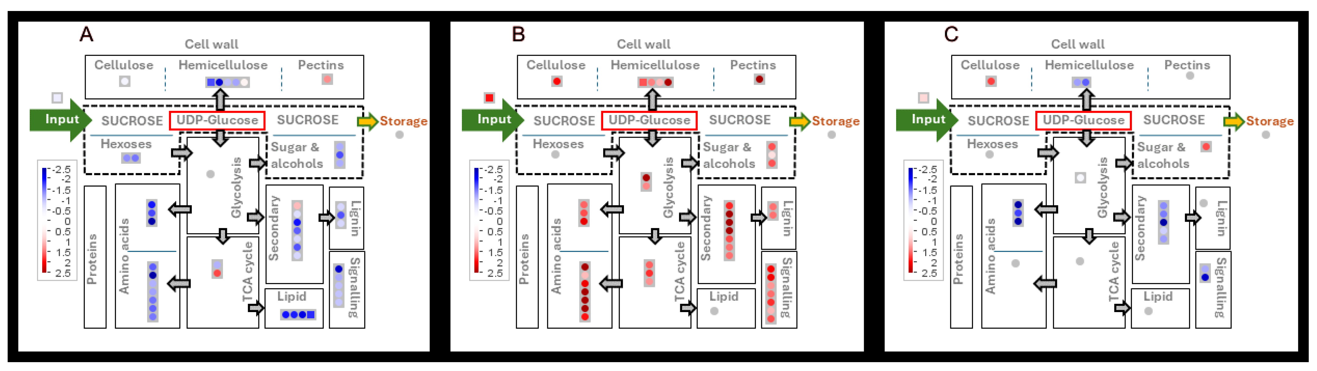 Agronomy 14 01487 g005