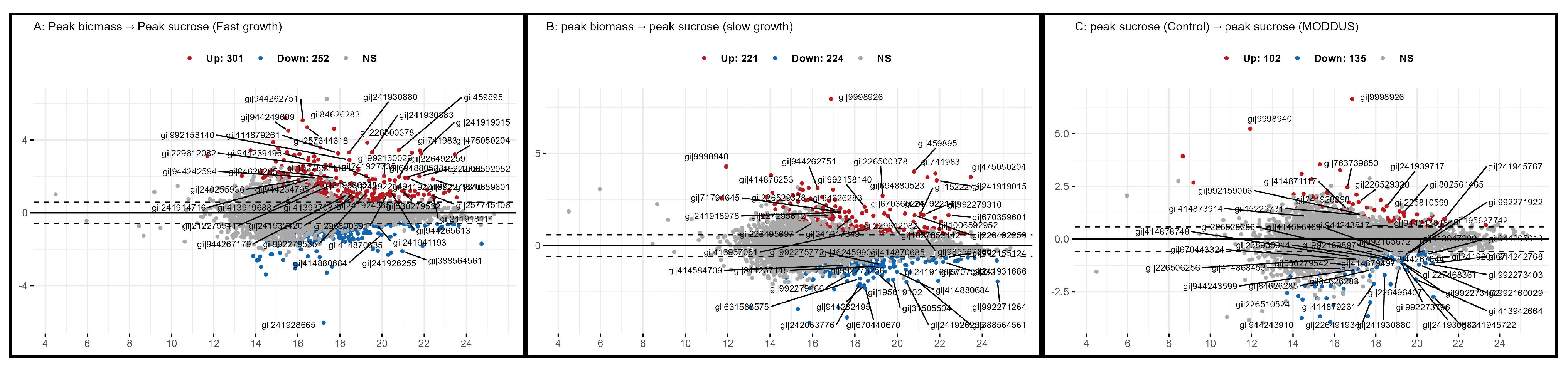 Agronomy 14 01487 g007