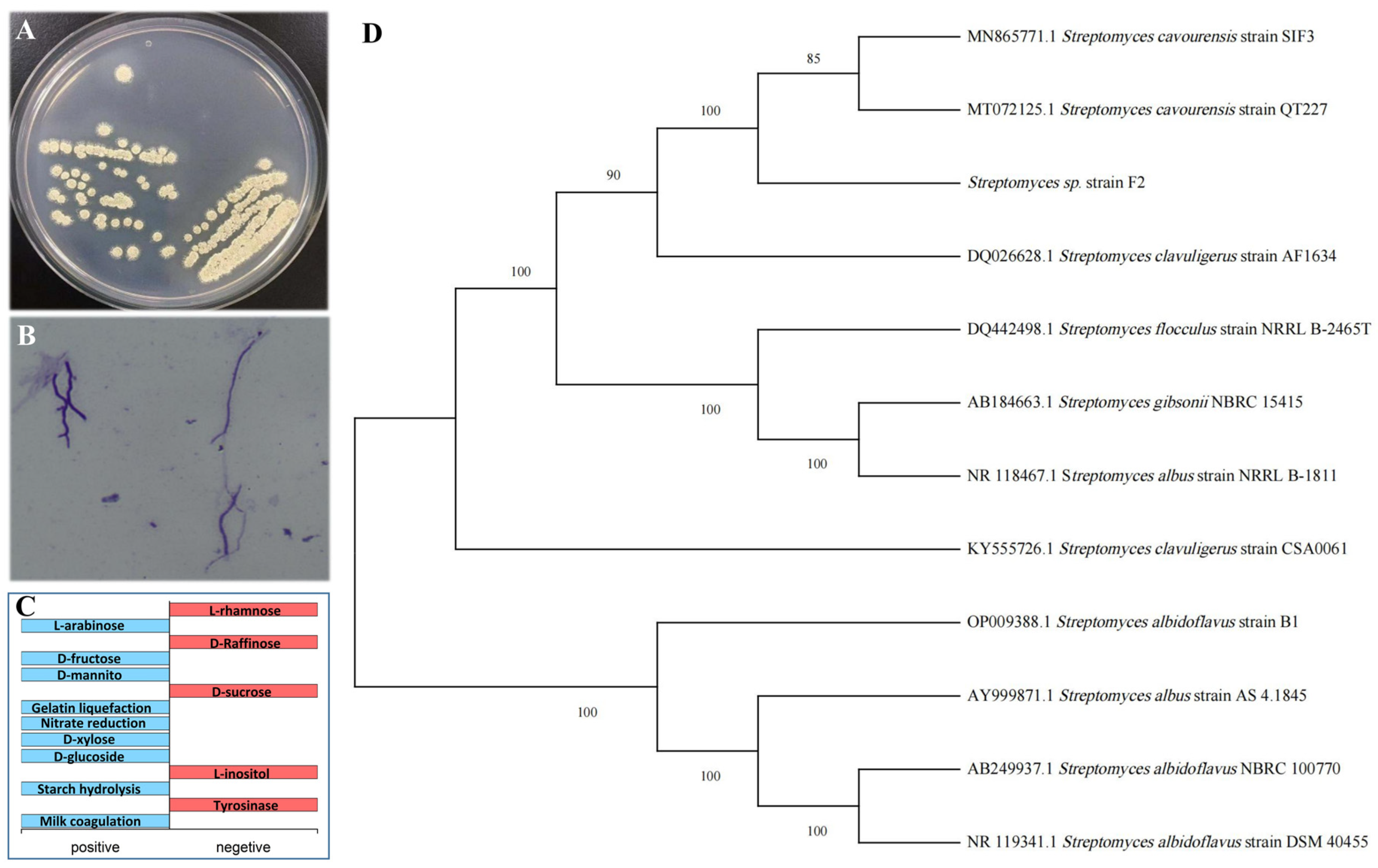 Agronomy 14 01489 g001