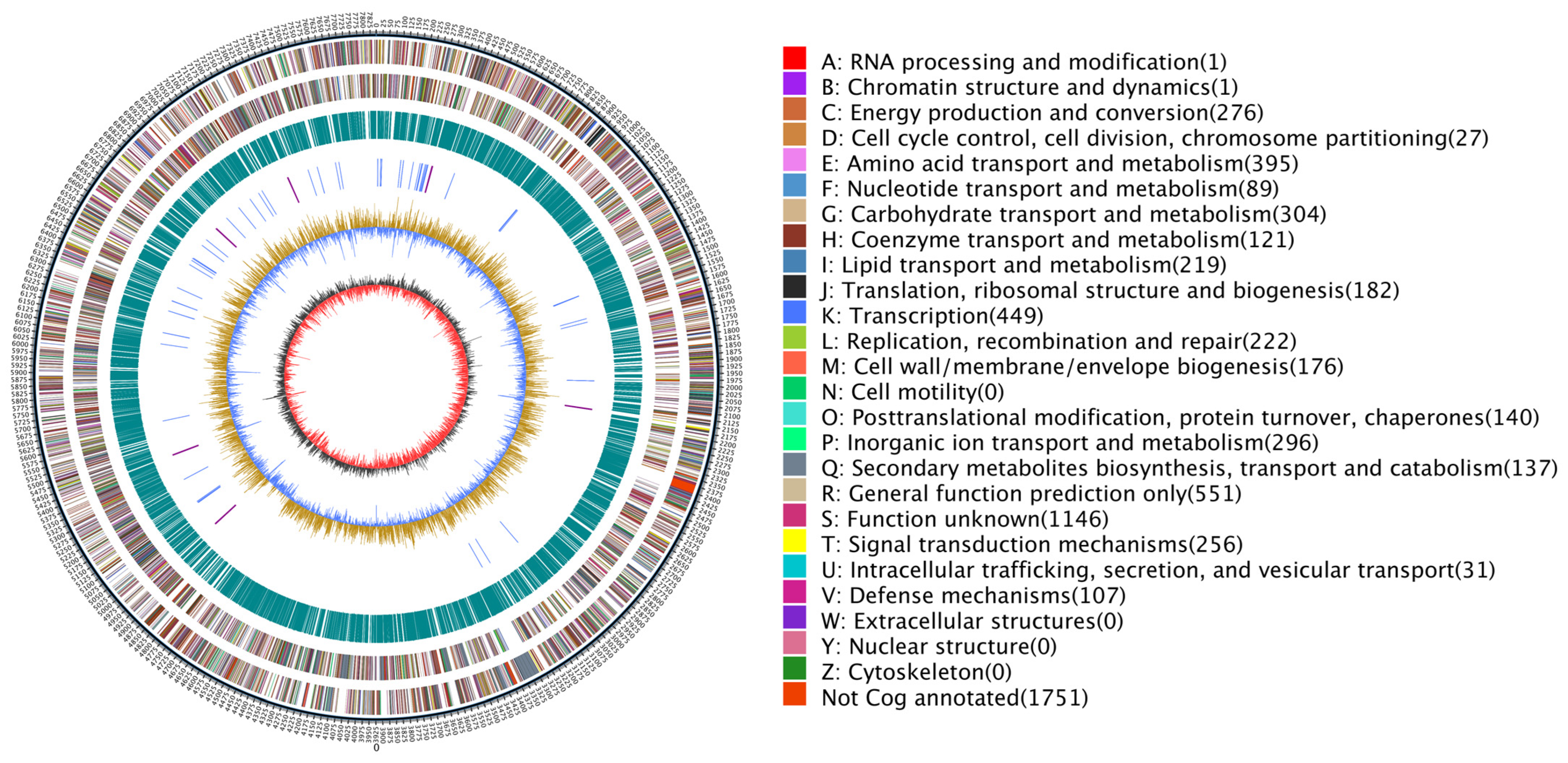 Agronomy 14 01489 g002