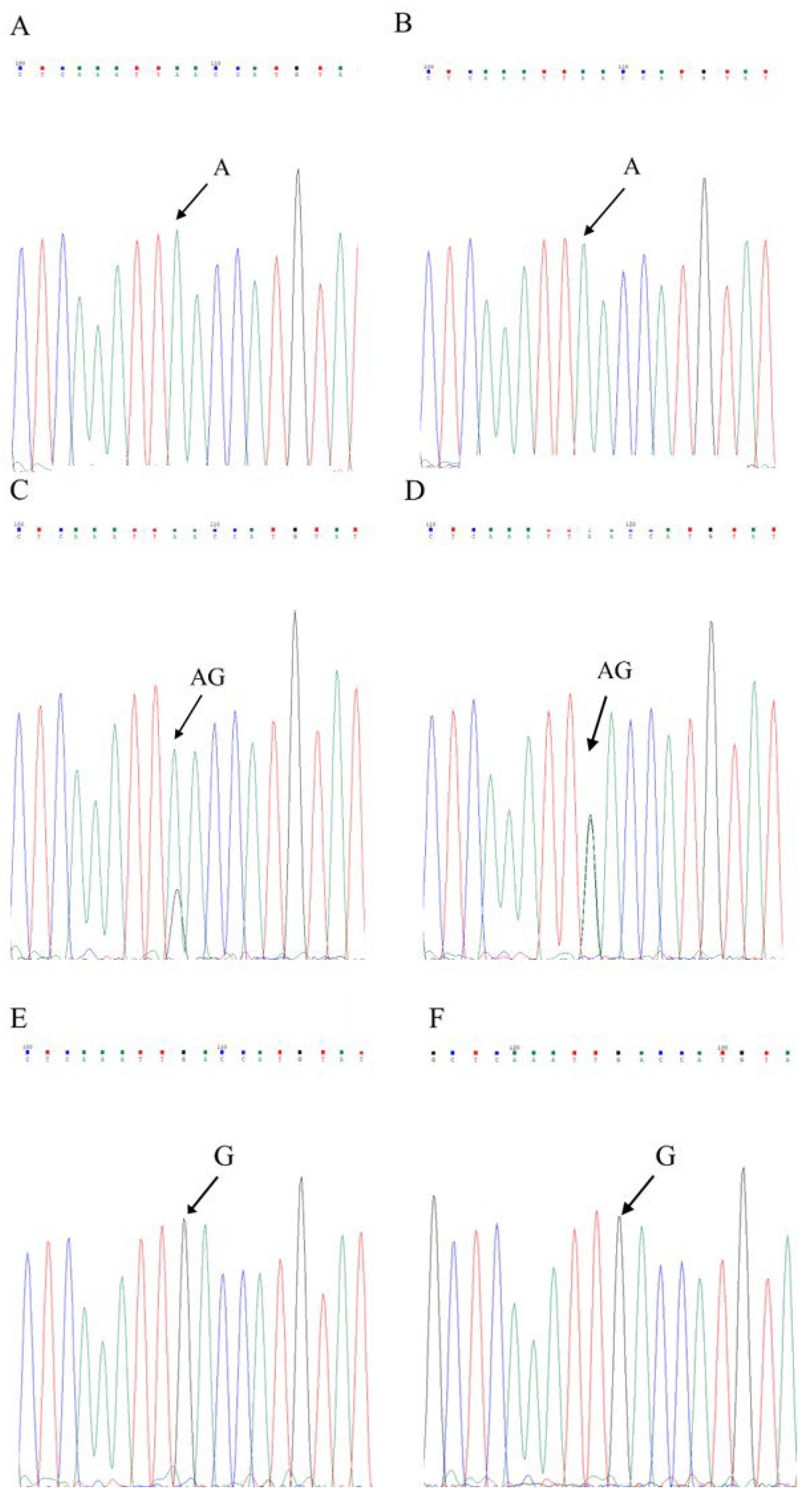 Agronomy 14 01490 g005