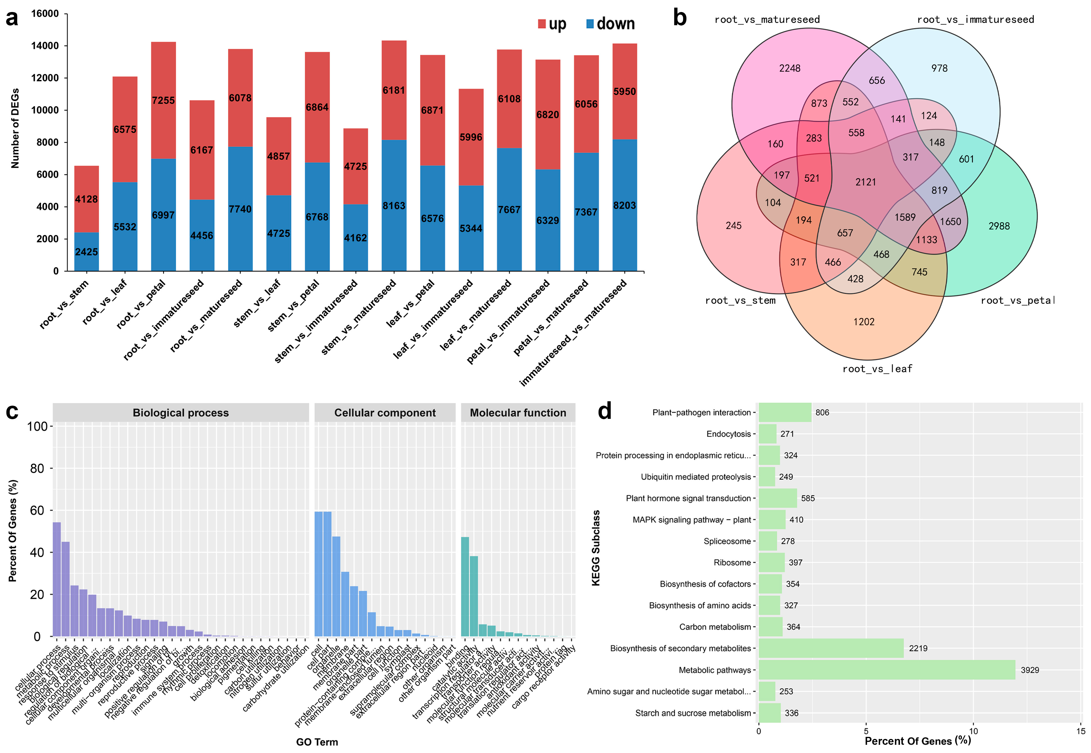 Agronomy 14 01494 g004