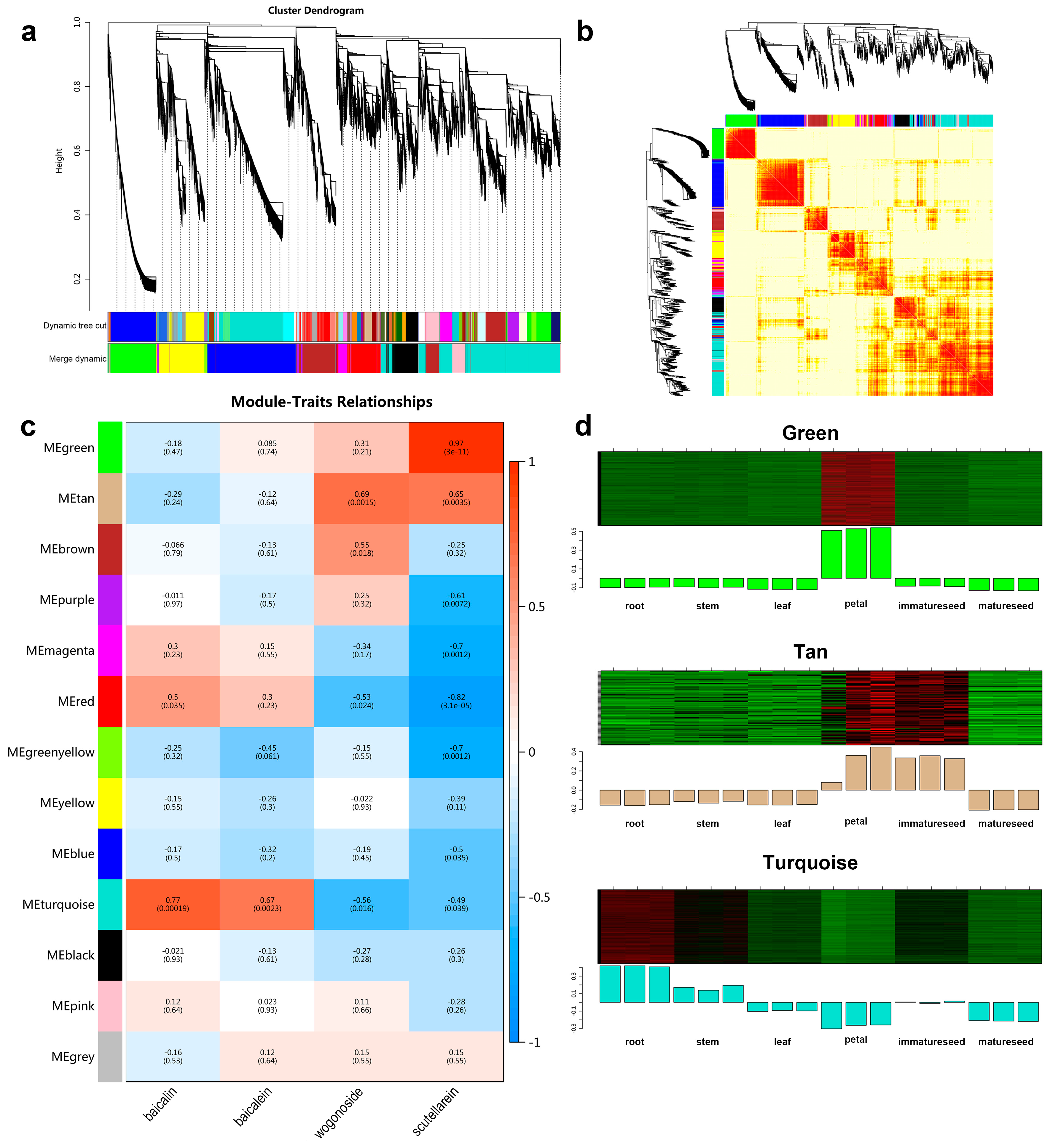 Agronomy 14 01494 g007