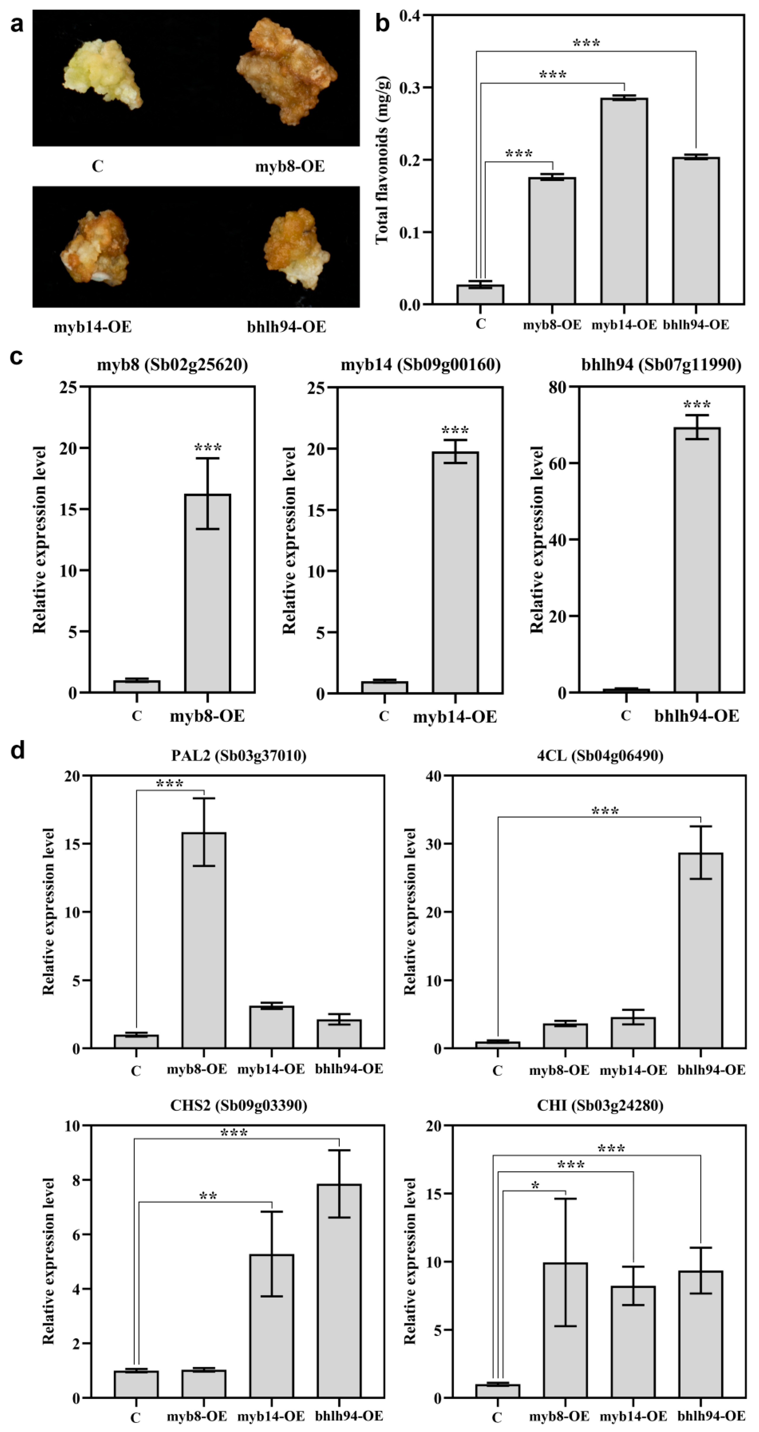 Agronomy 14 01494 g009