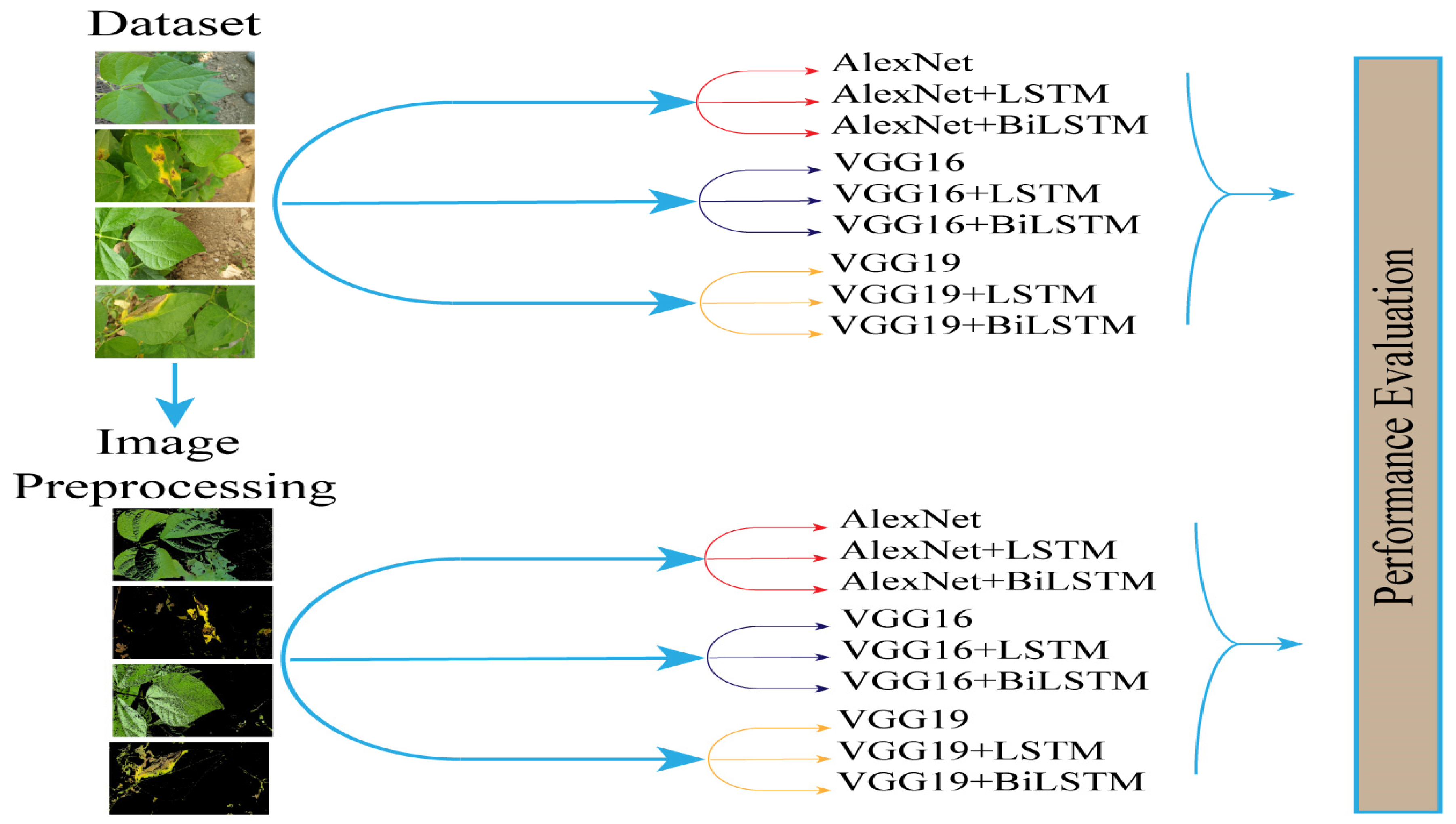 Agronomy 14 01495 g001