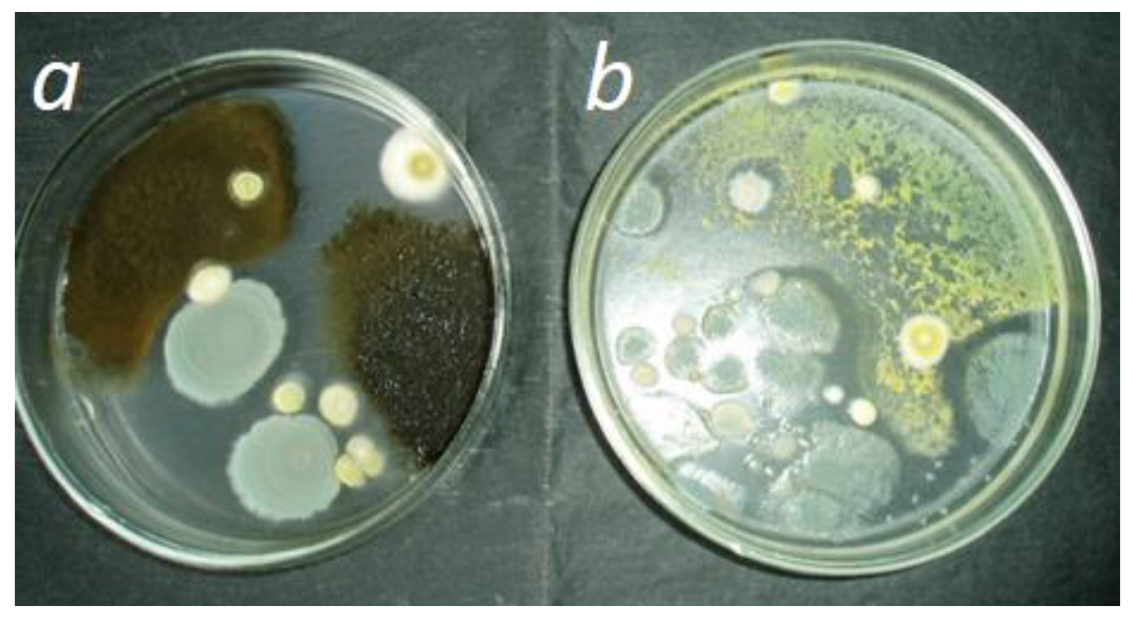 Agronomy 14 01498 g003 Agronomy 14 01498 g003