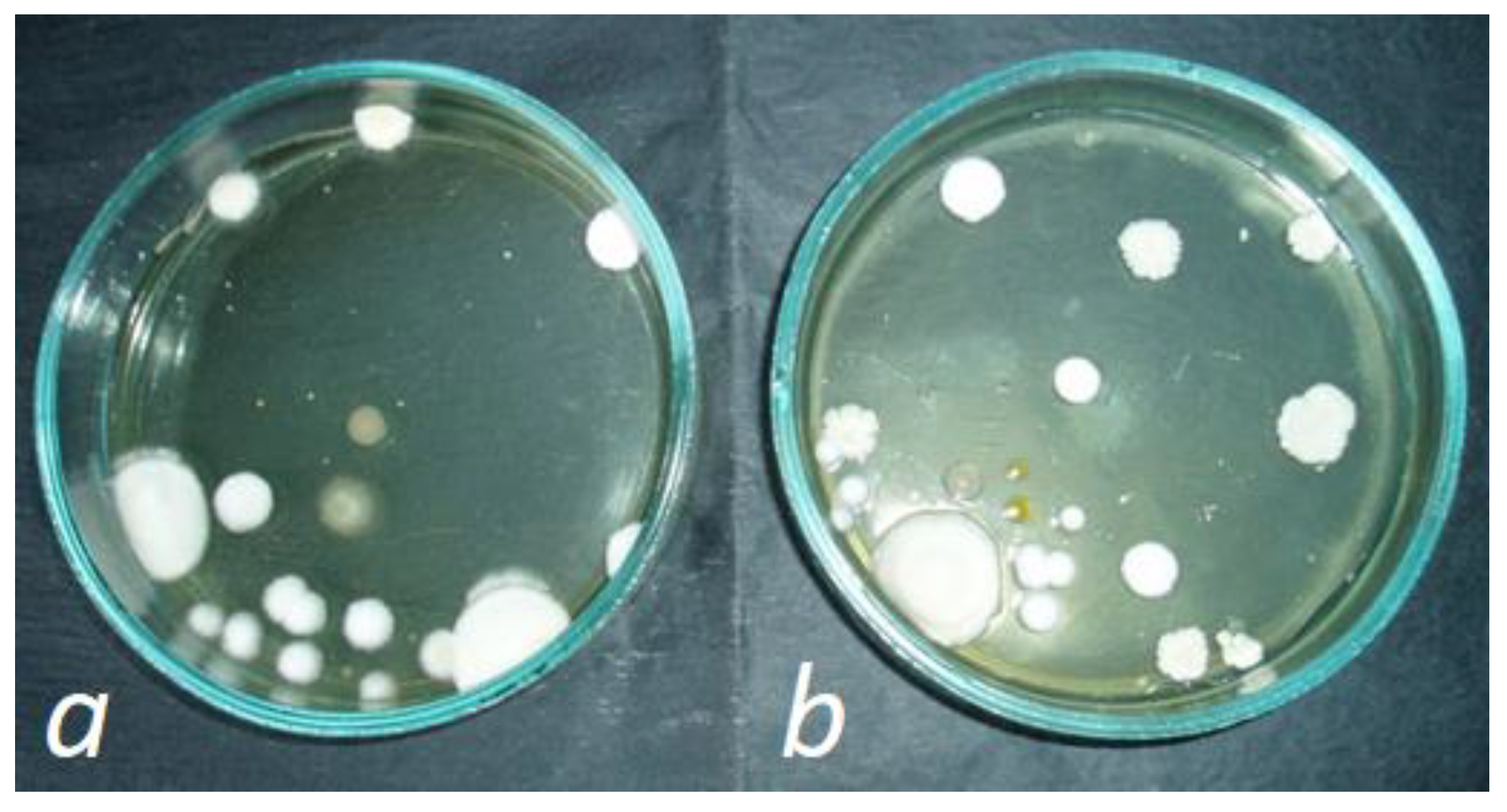 Agronomy 14 01498 g004 Agronomy 14 01498 g004
