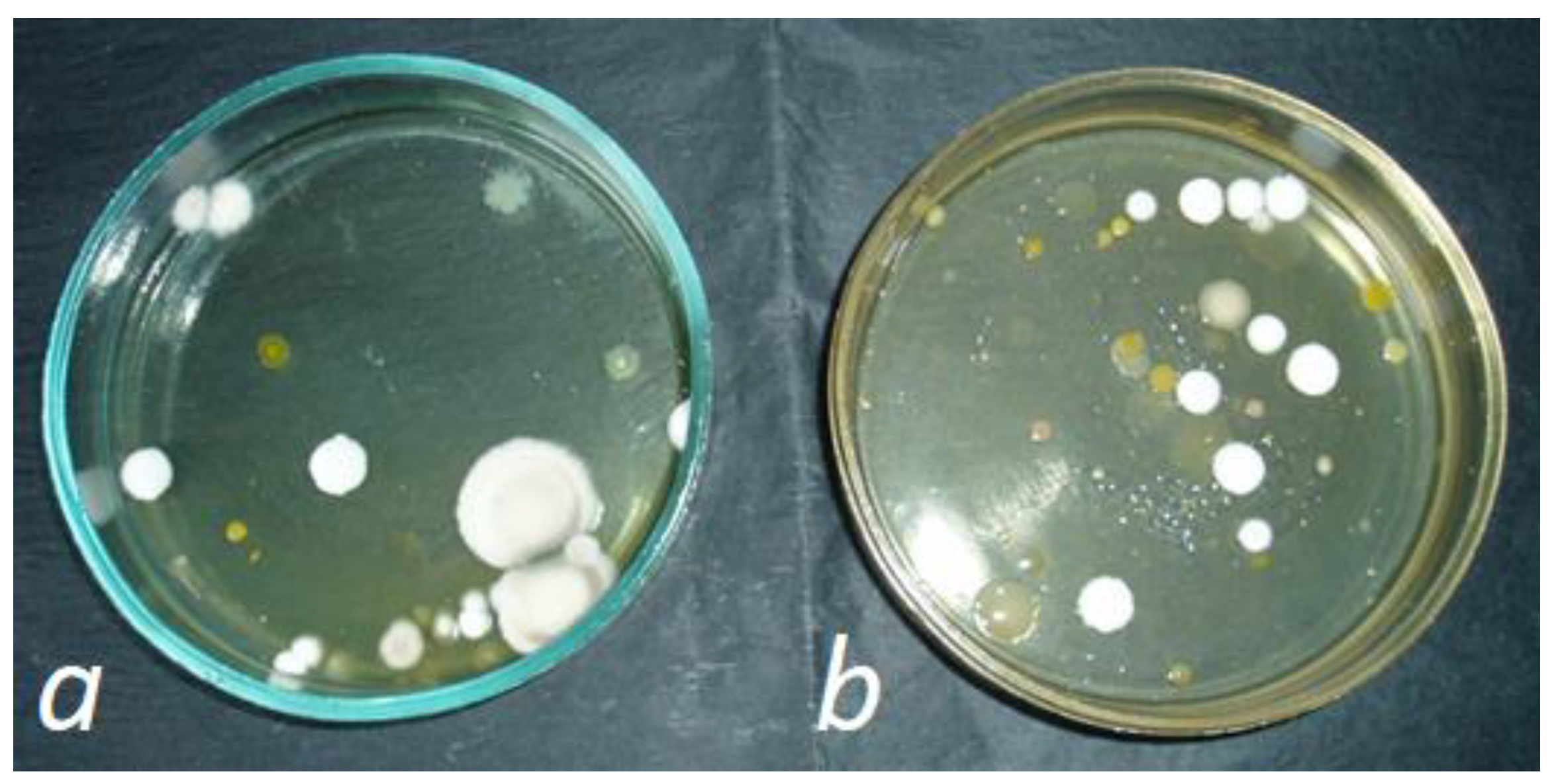 Agronomy 14 01498 g005 Agronomy 14 01498 g005