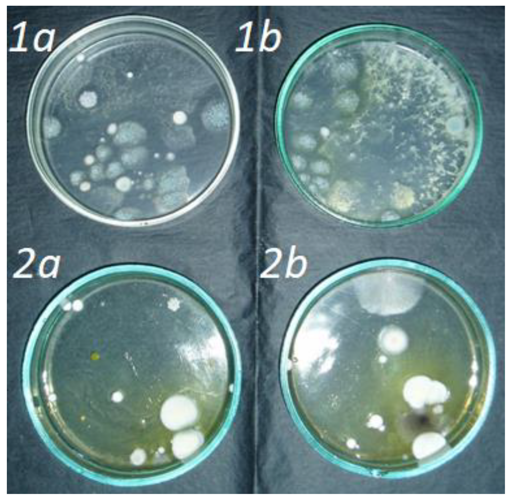 Agronomy 14 01498 g006 Agronomy 14 01498 g006