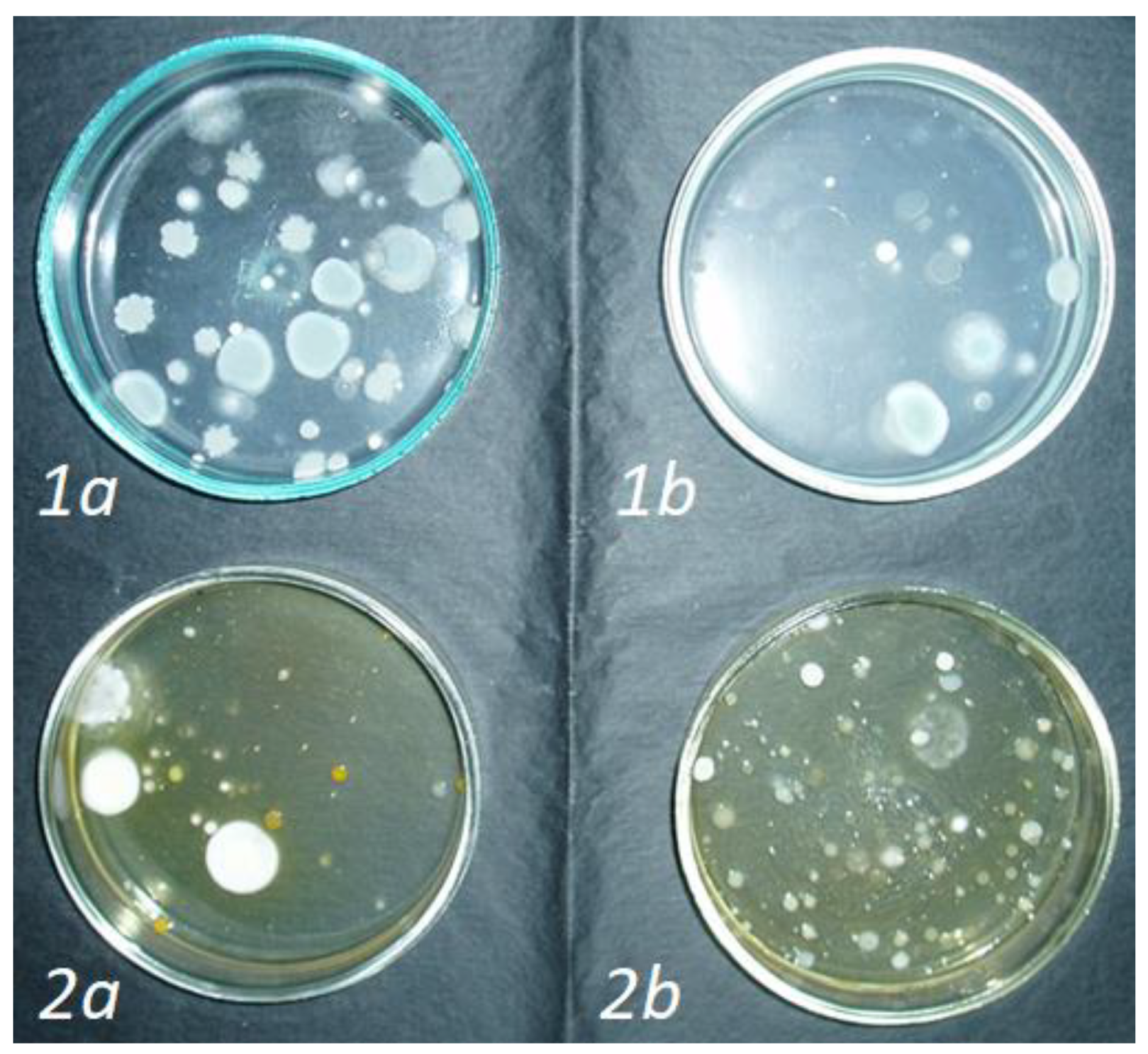 Agronomy 14 01498 g007 Agronomy 14 01498 g007