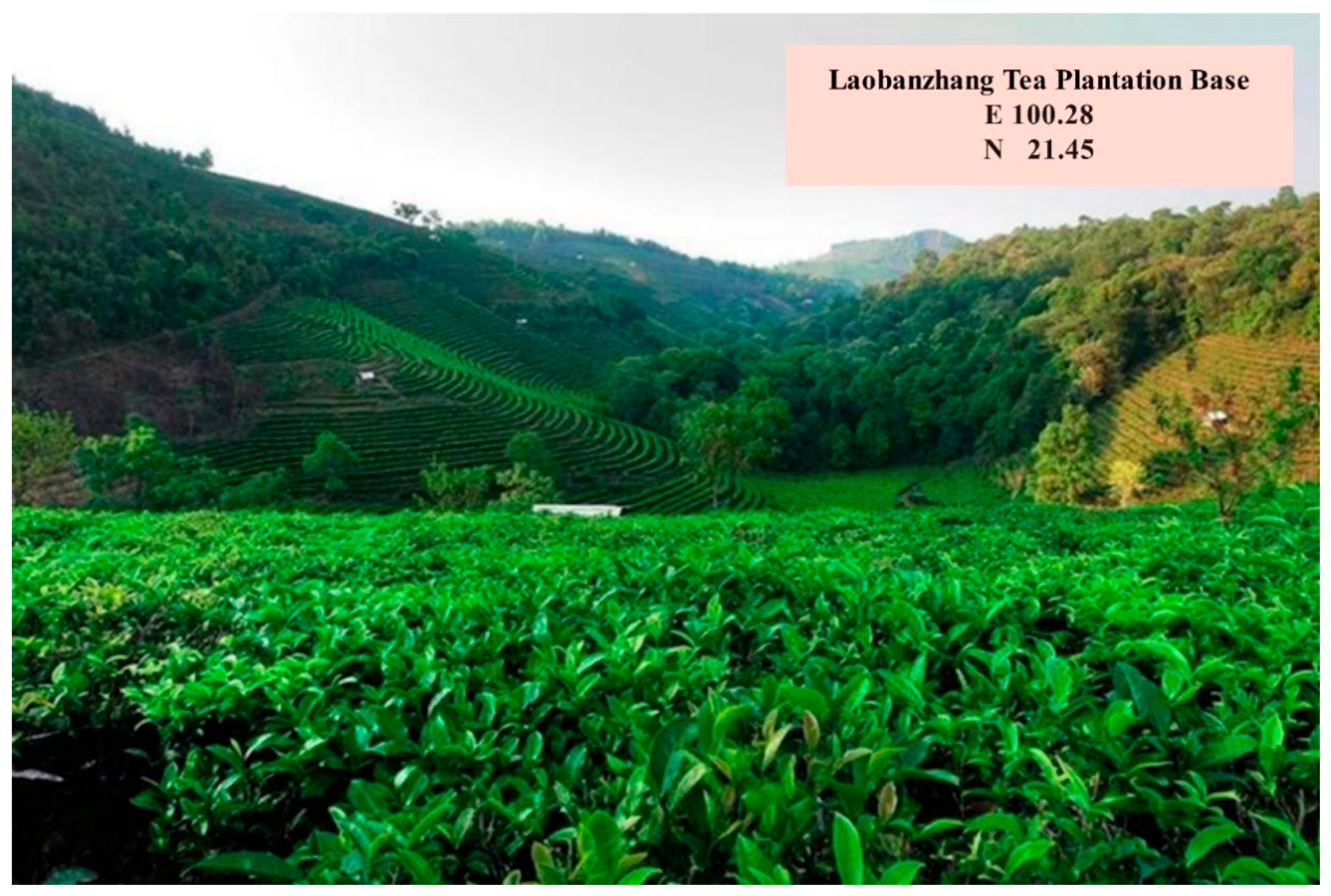 Agronomy 14 01501 g001