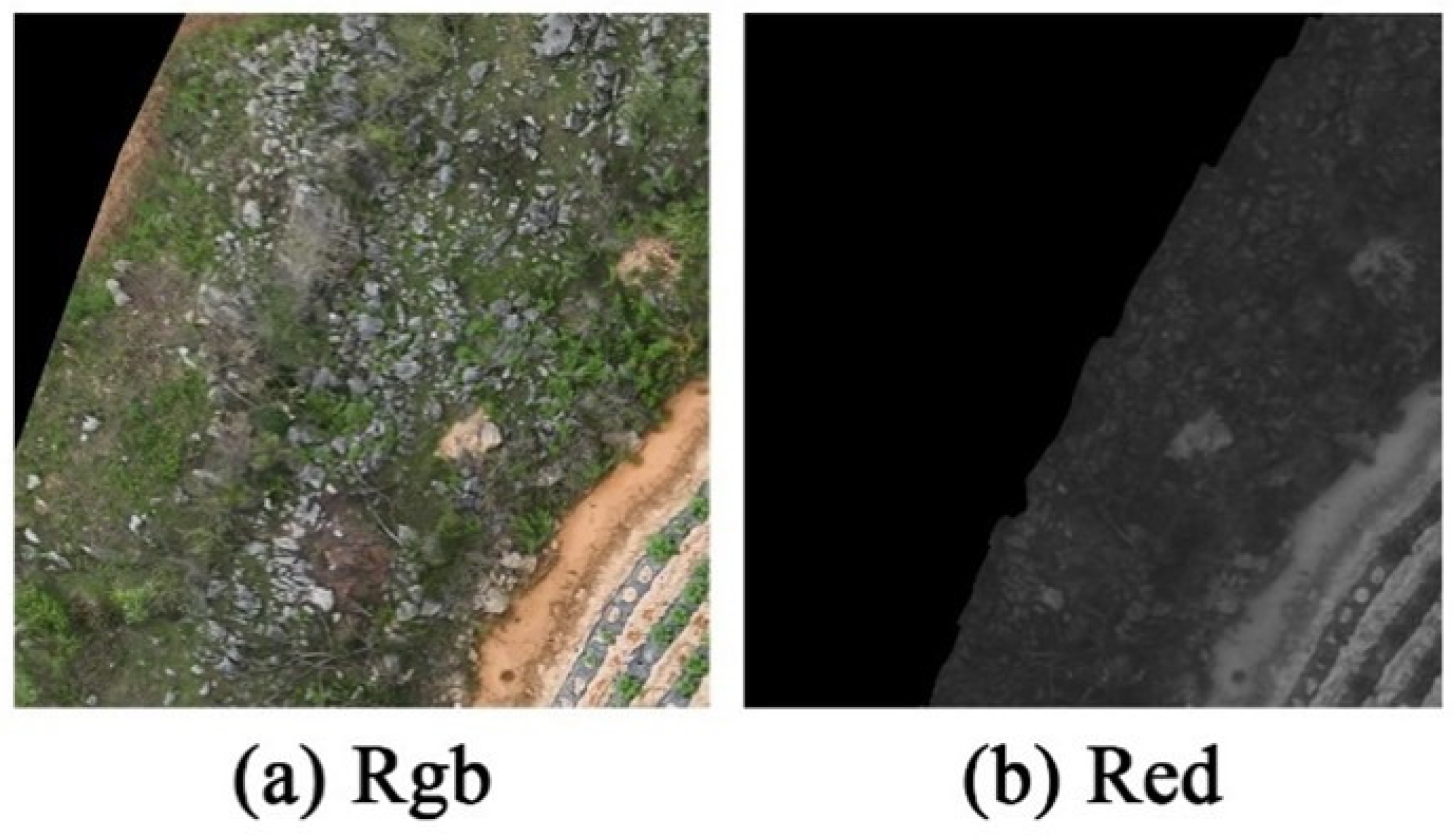 Agronomy 14 01502 g004