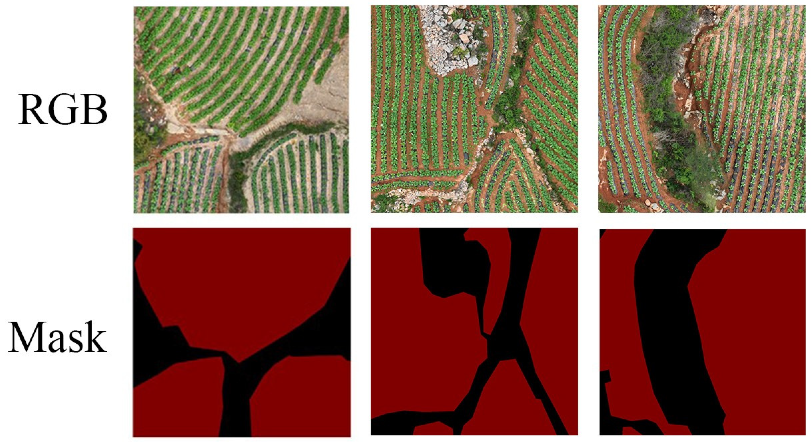 Agronomy 14 01502 g006