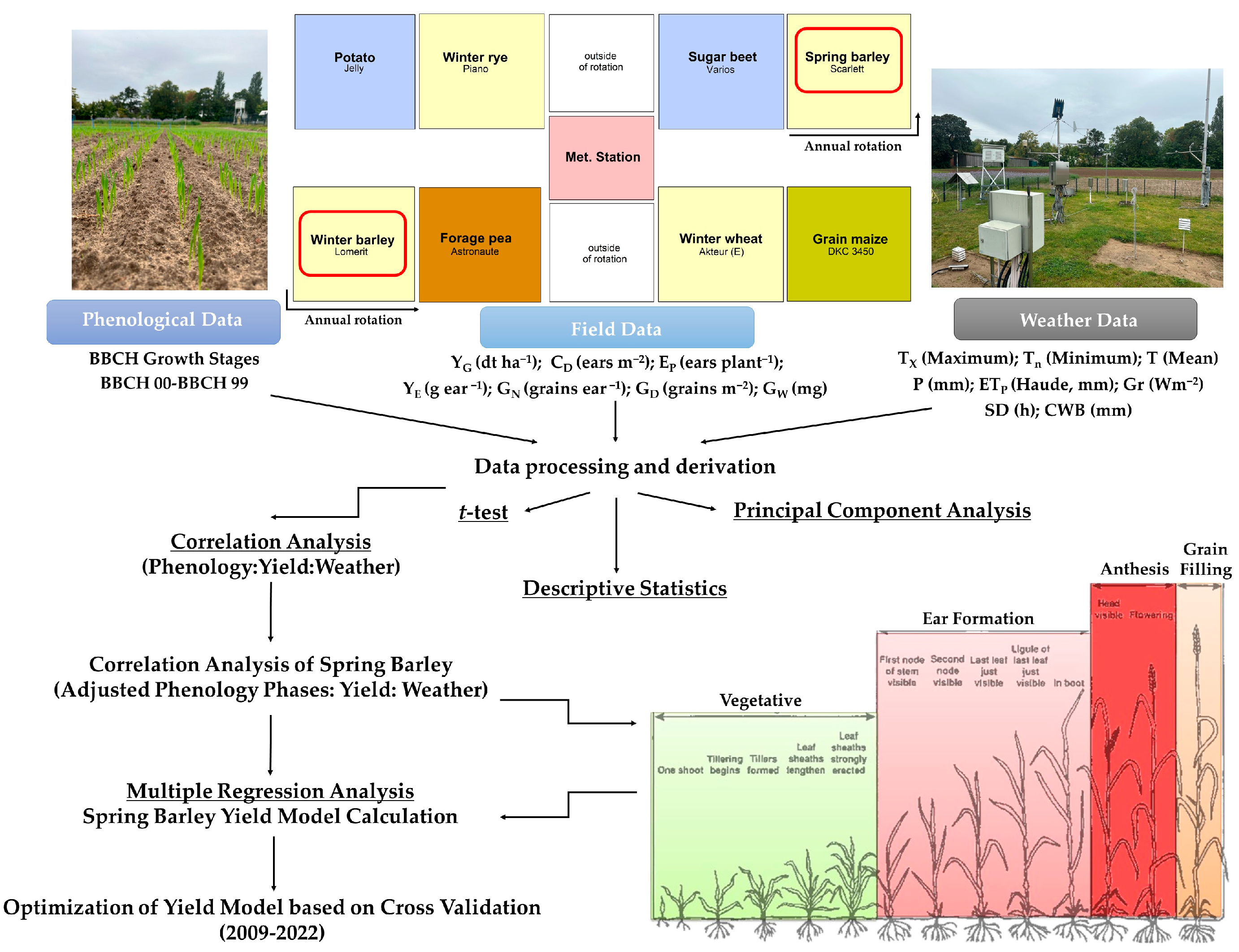 Agronomy 14 01503 g001