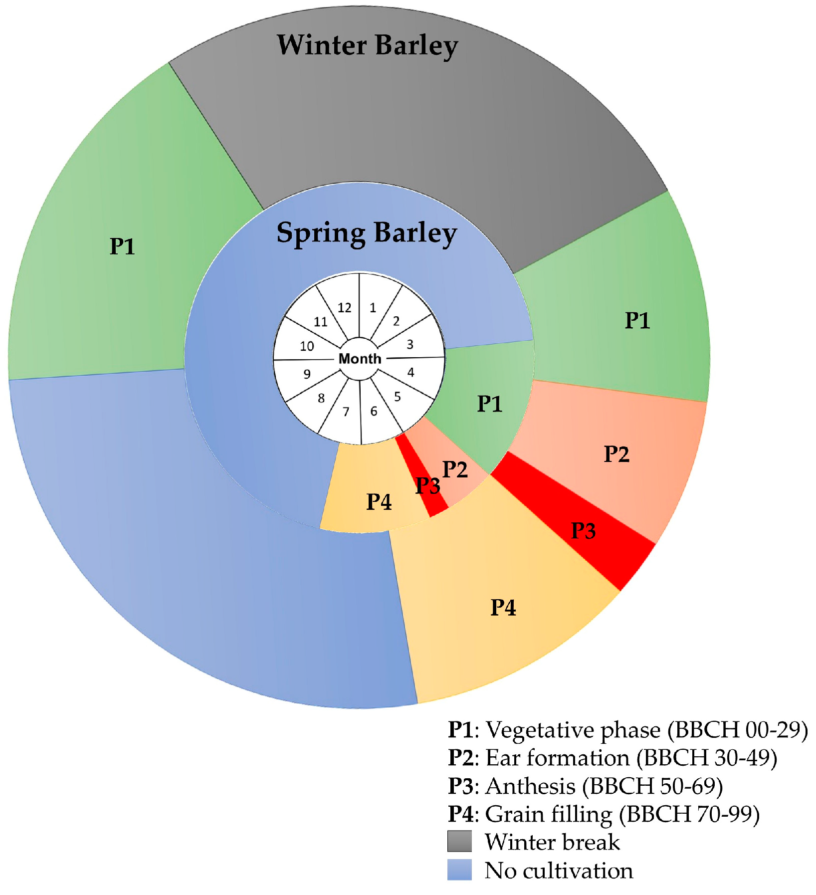 Agronomy 14 01503 g006