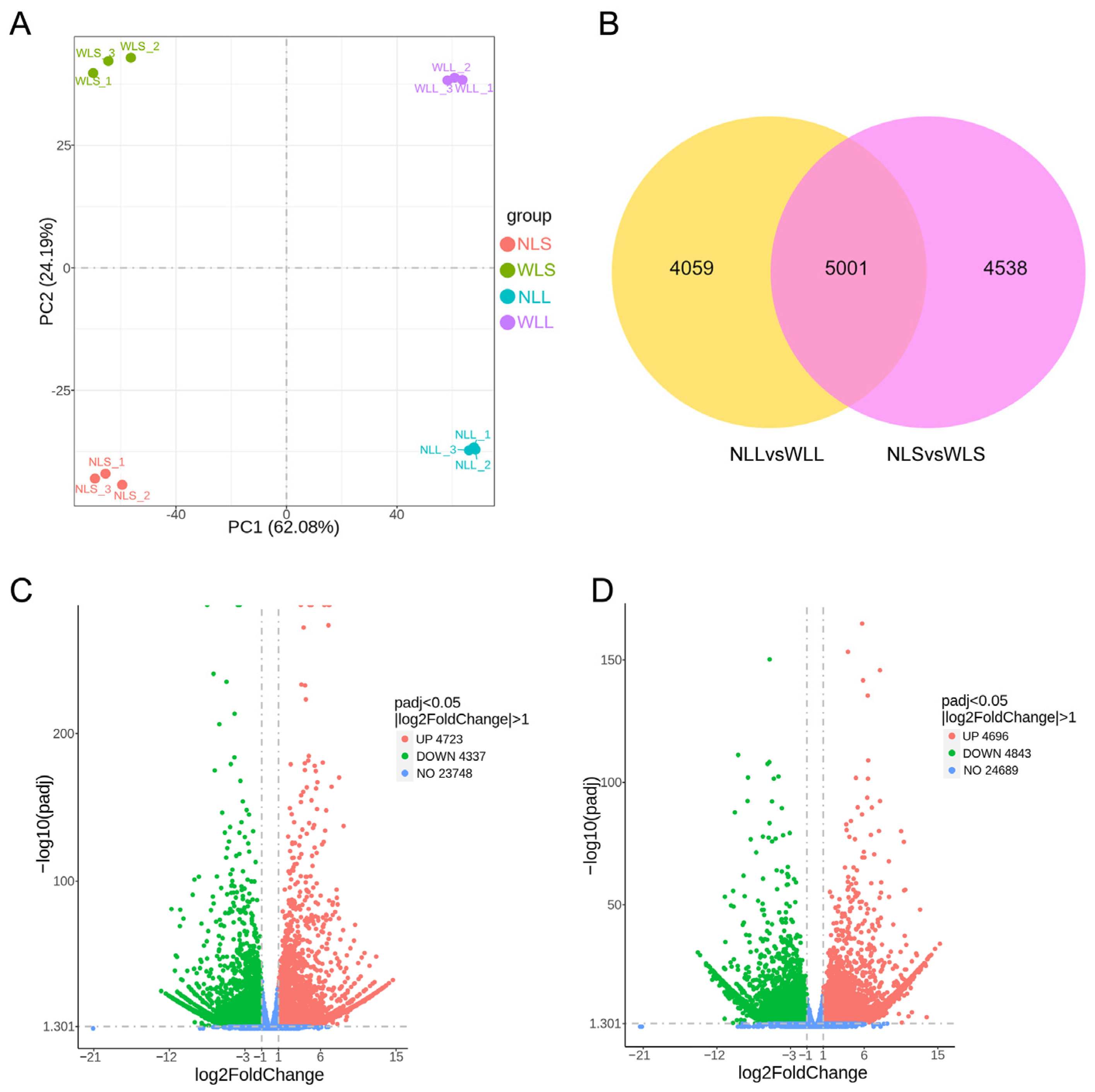 Agronomy 14 01506 g002