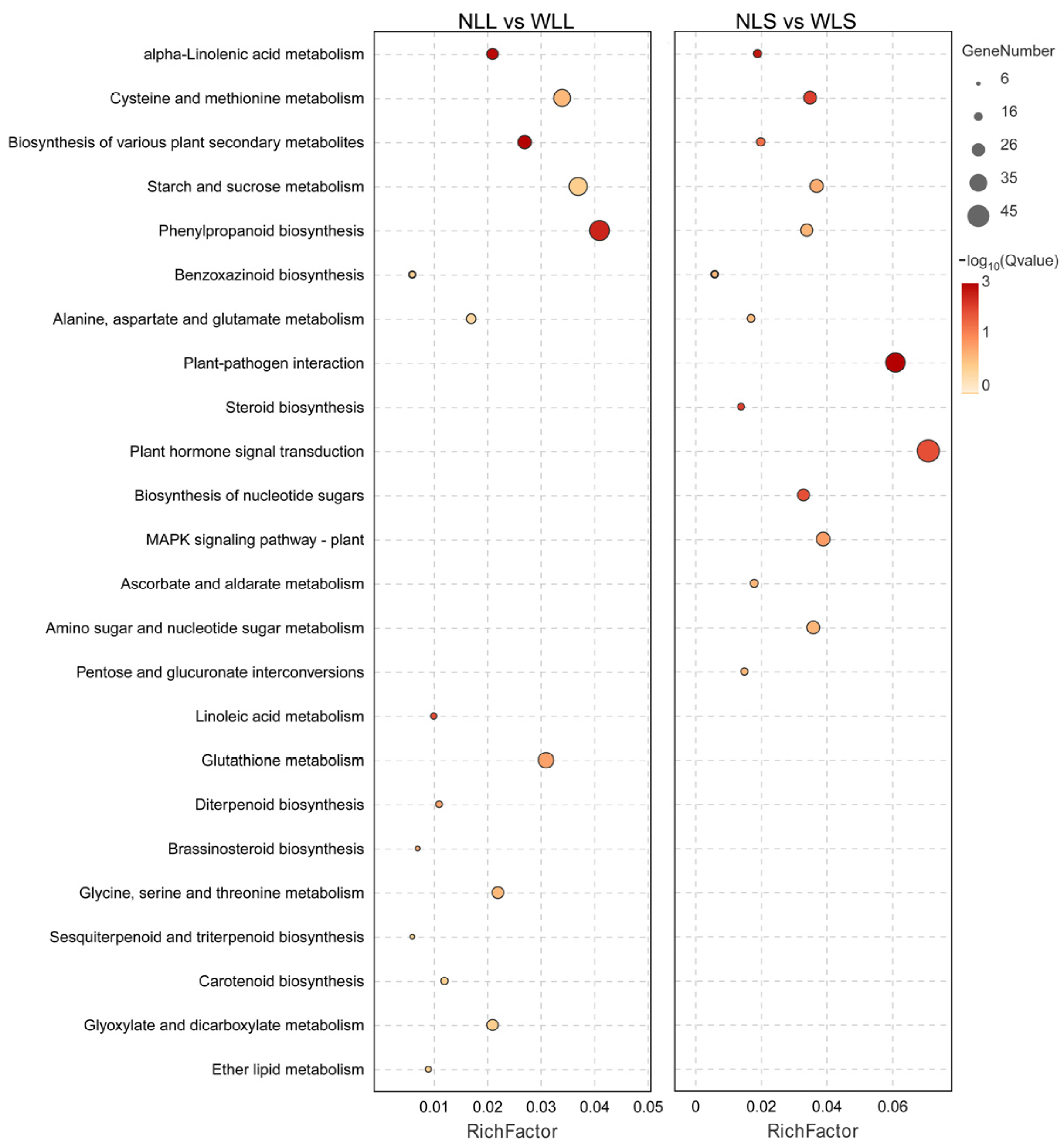 Agronomy 14 01506 g004