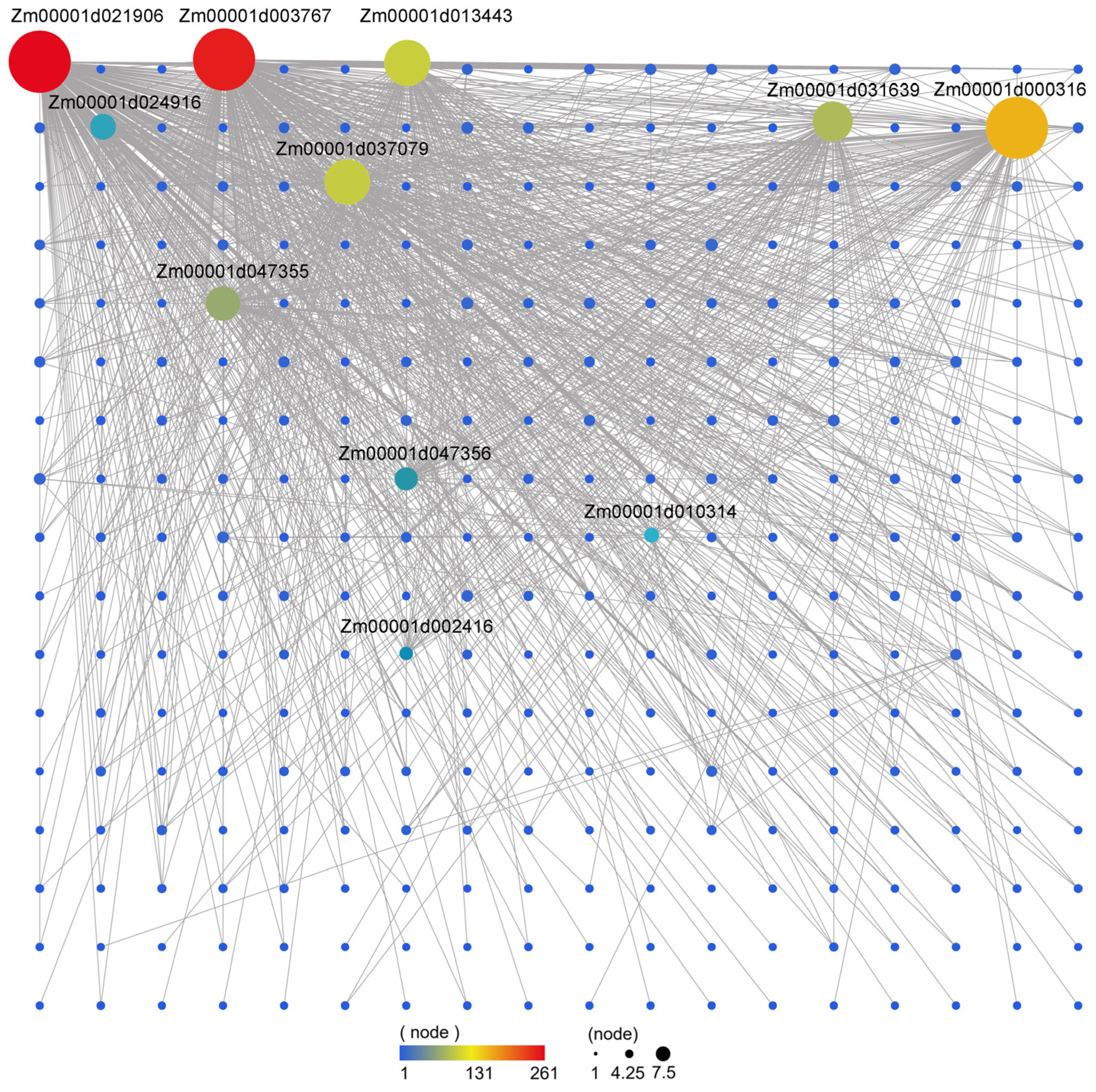 Agronomy 14 01506 g007