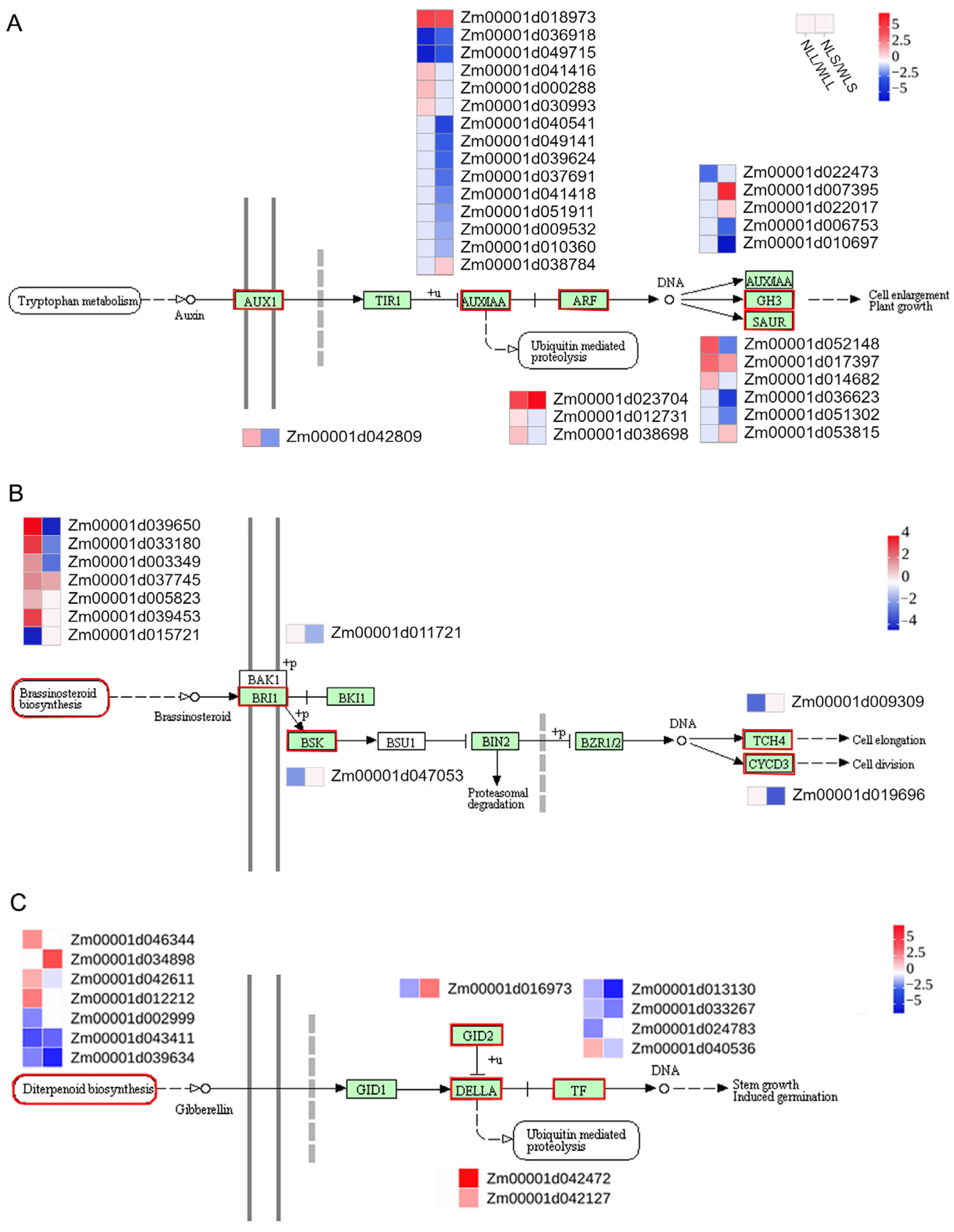 Agronomy 14 01506 g009