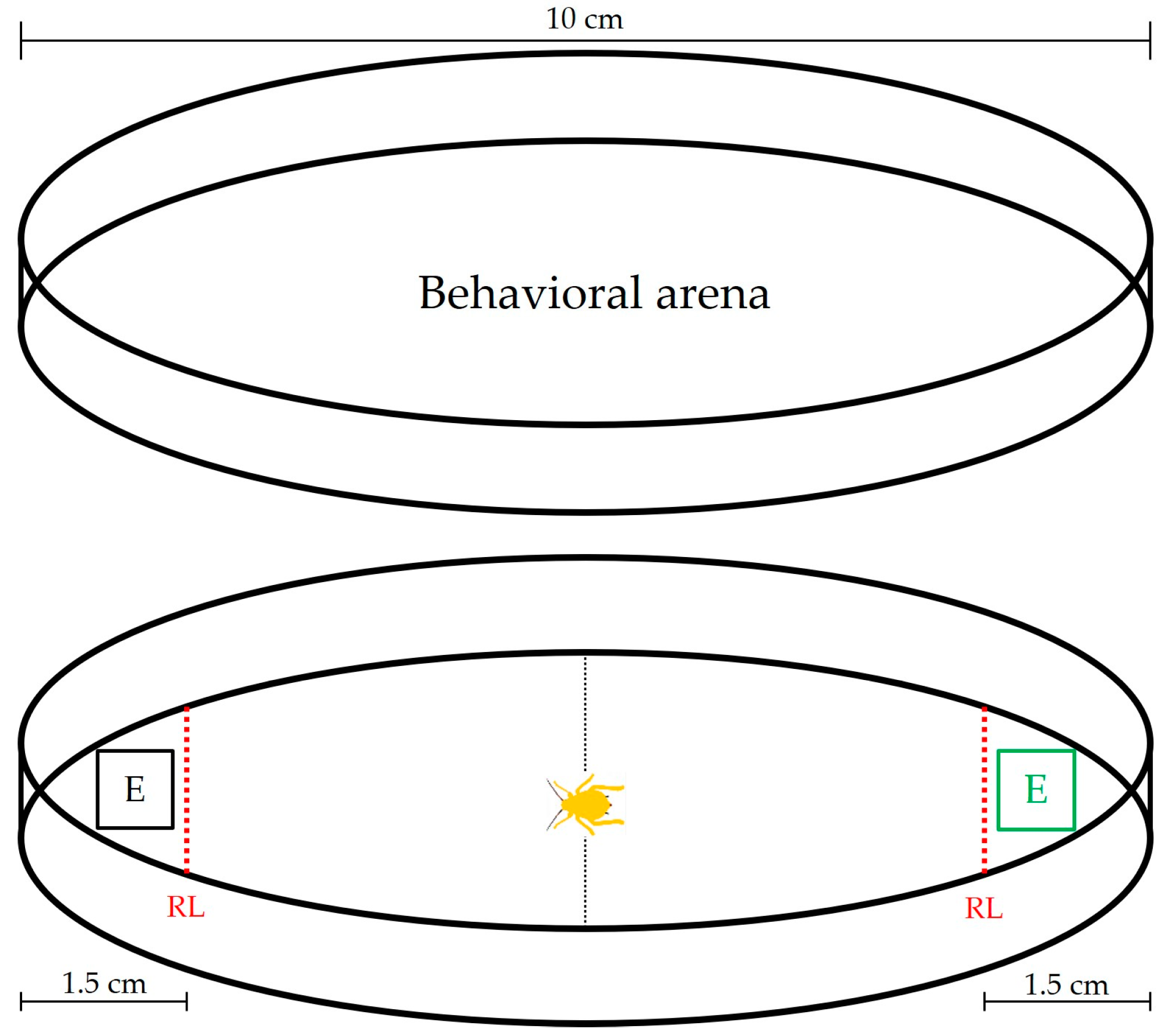 Agronomy 14 01512 g001 Agronomy 14 01512 g001