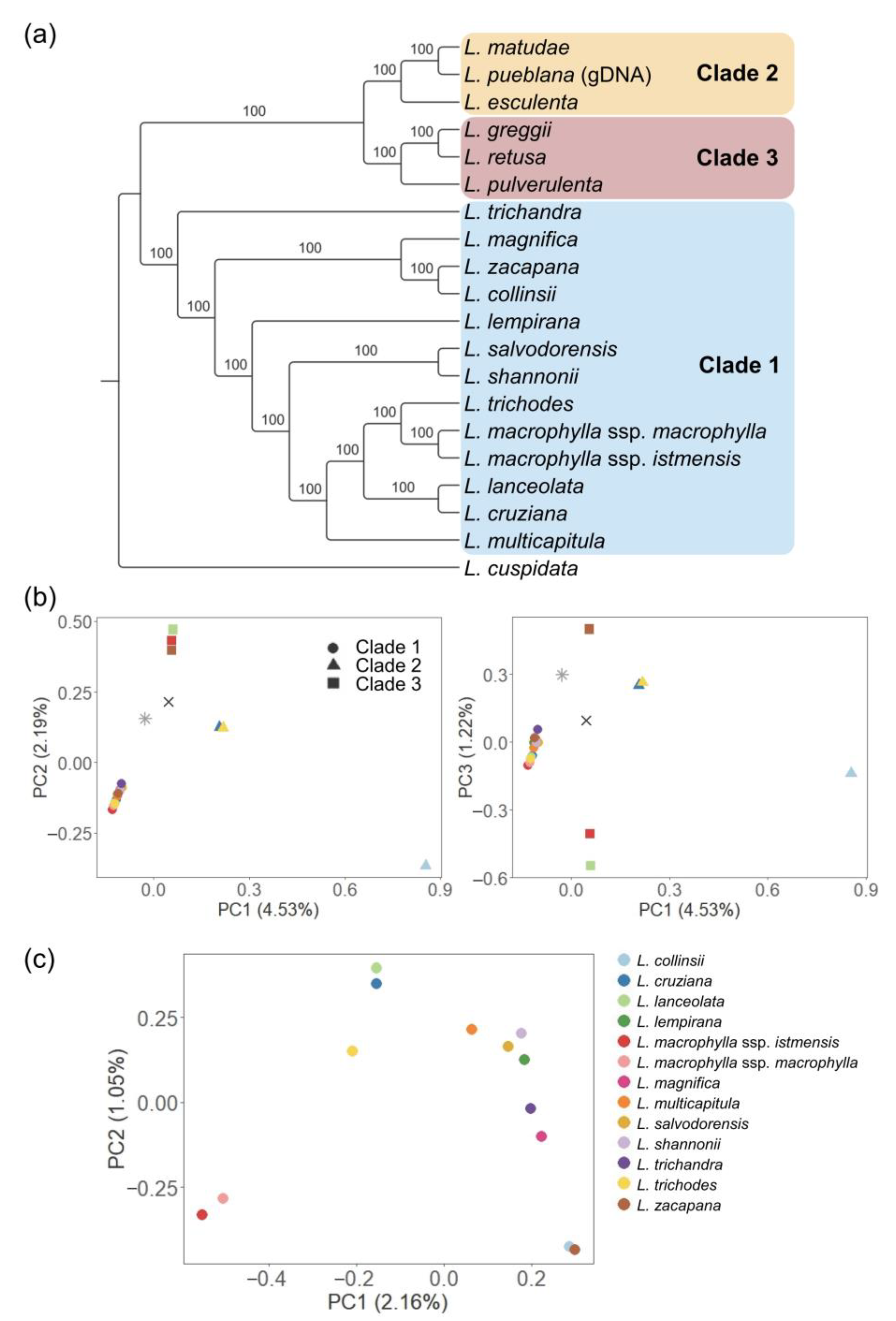 Agronomy 14 01519 g002