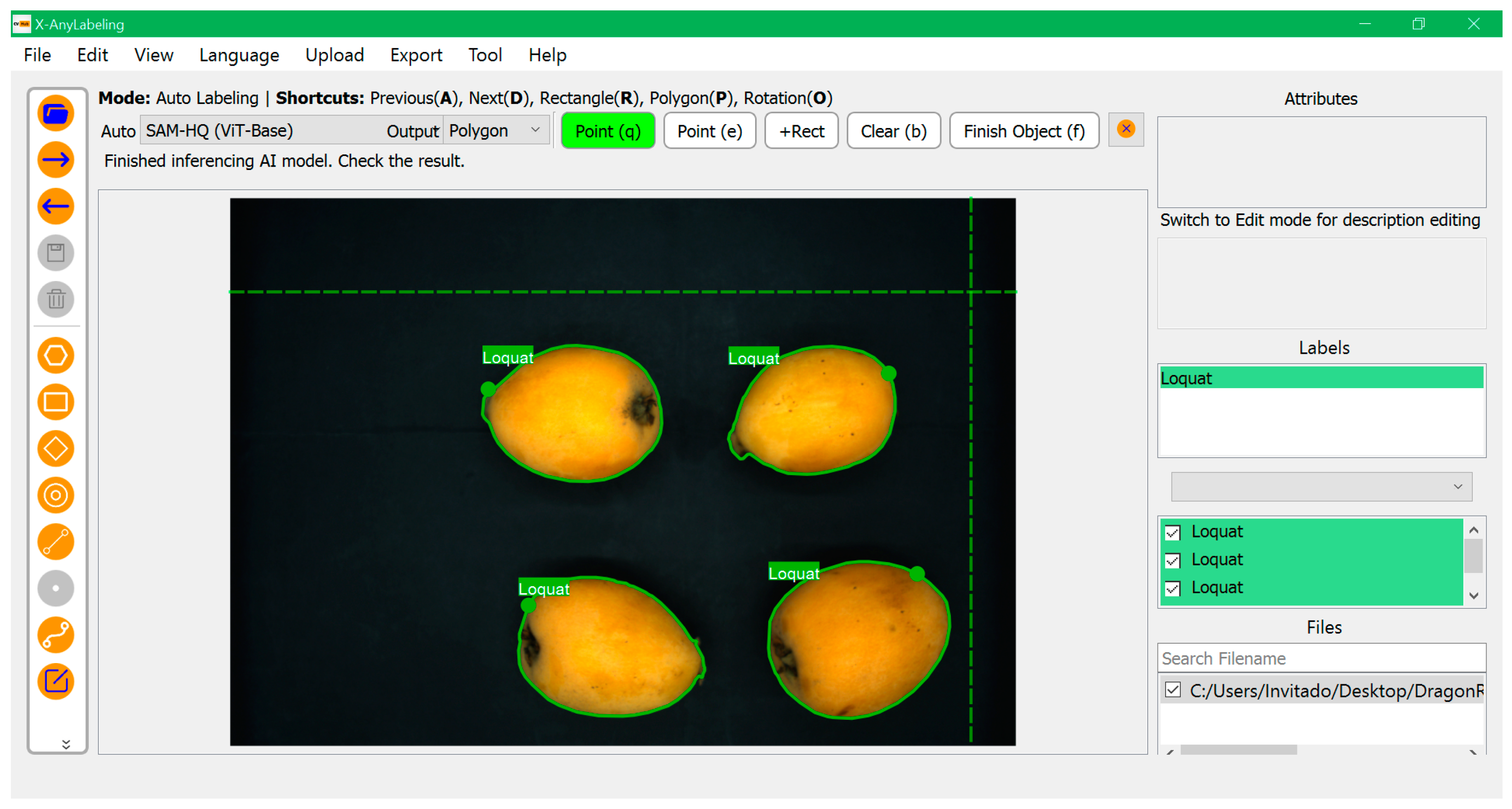 Agronomy 14 01523 g001