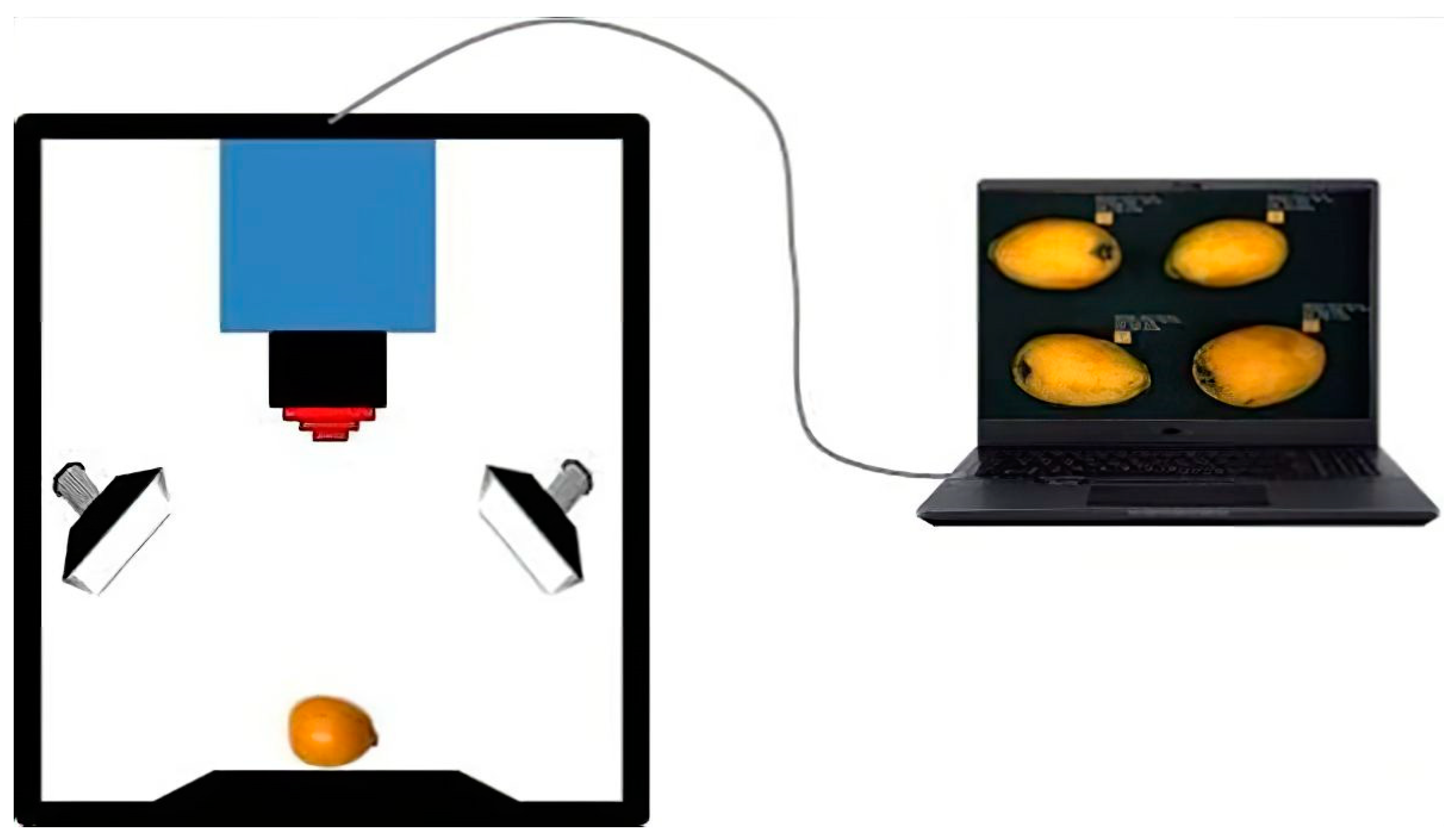 Agronomy 14 01523 g002