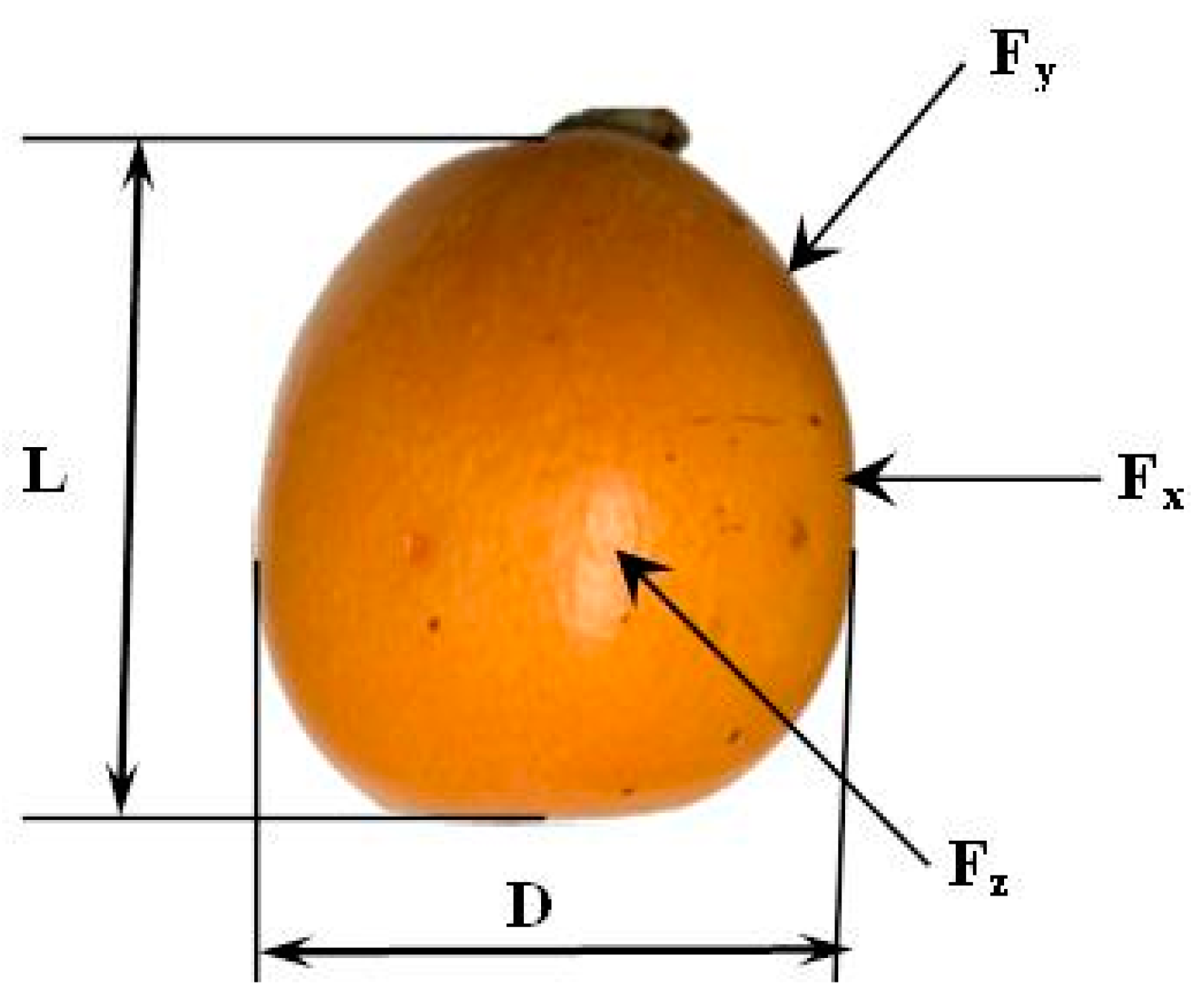 Agronomy 14 01523 g003