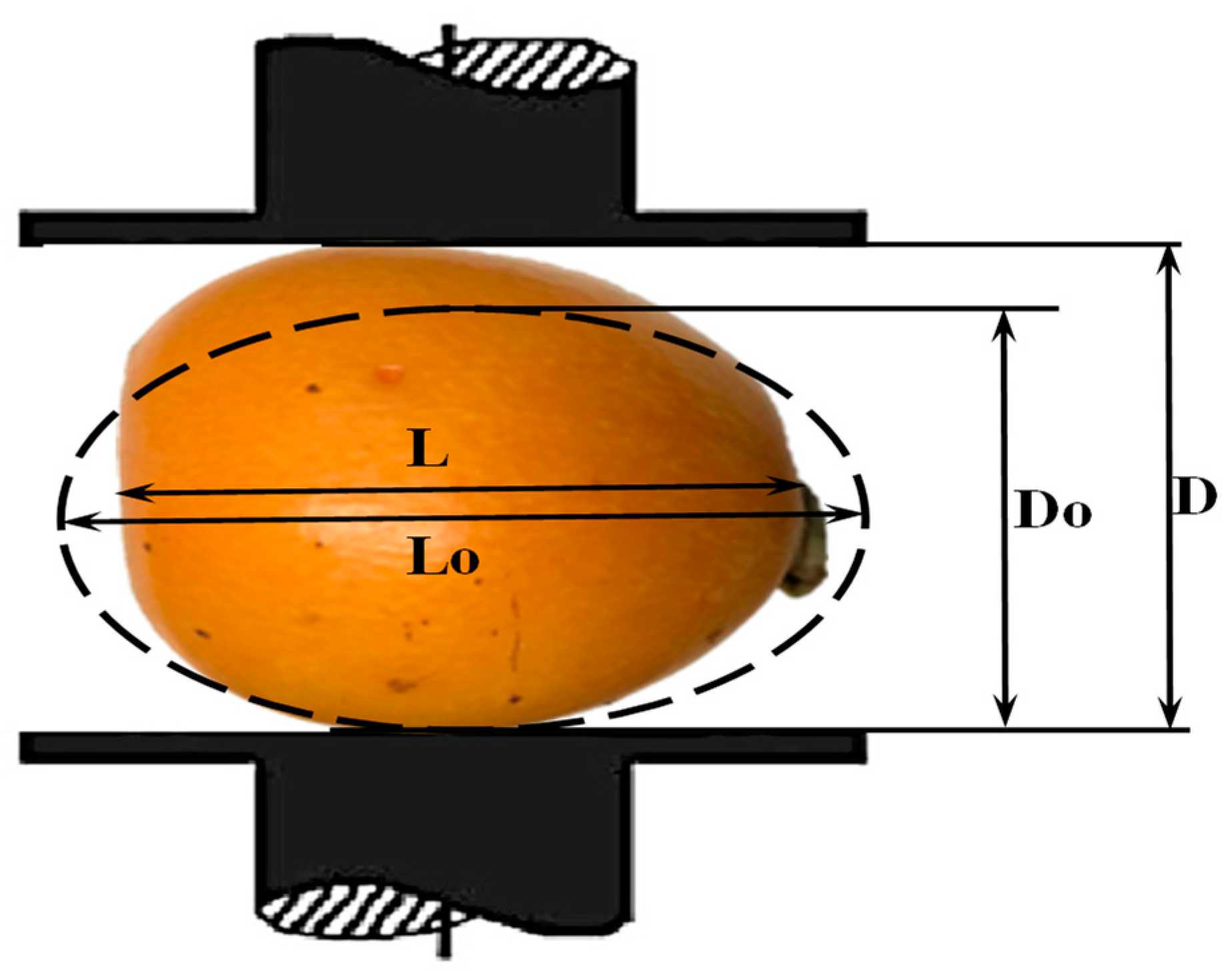 Agronomy 14 01523 g004