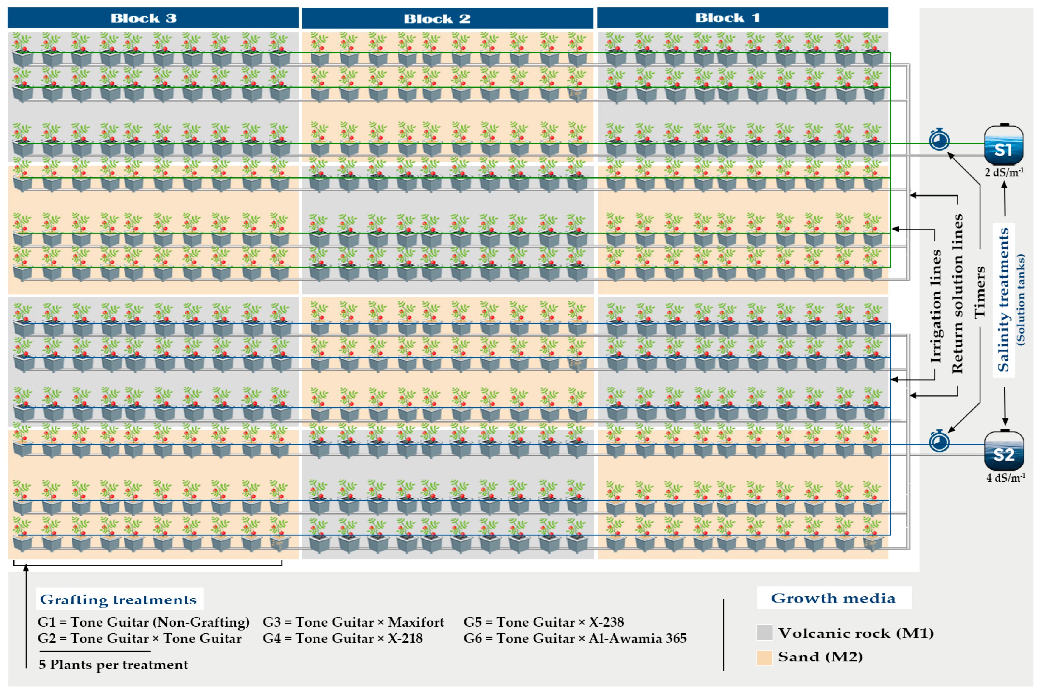 Agronomy 14 01526 g002