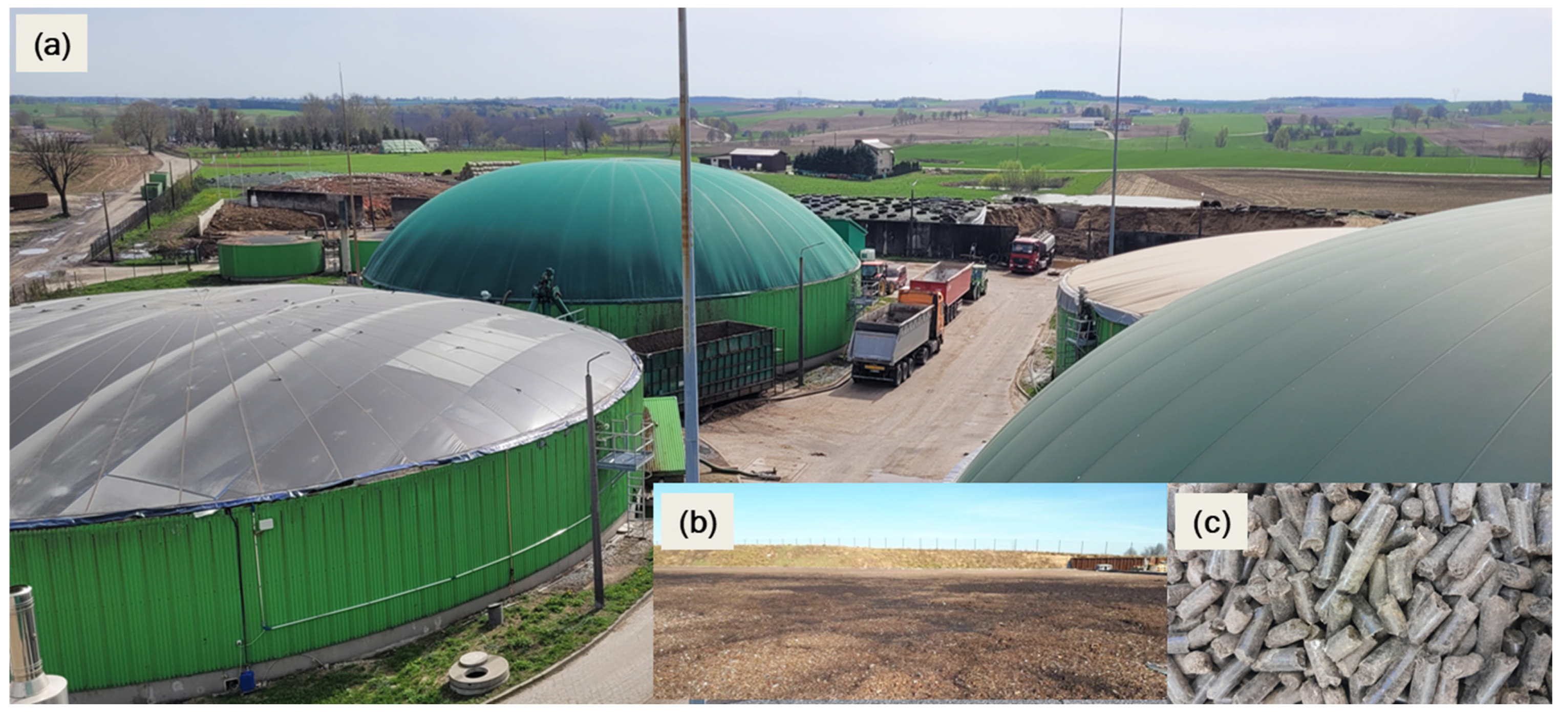 Agronomy 14 01528 g002 Agronomy 14 01528 g002