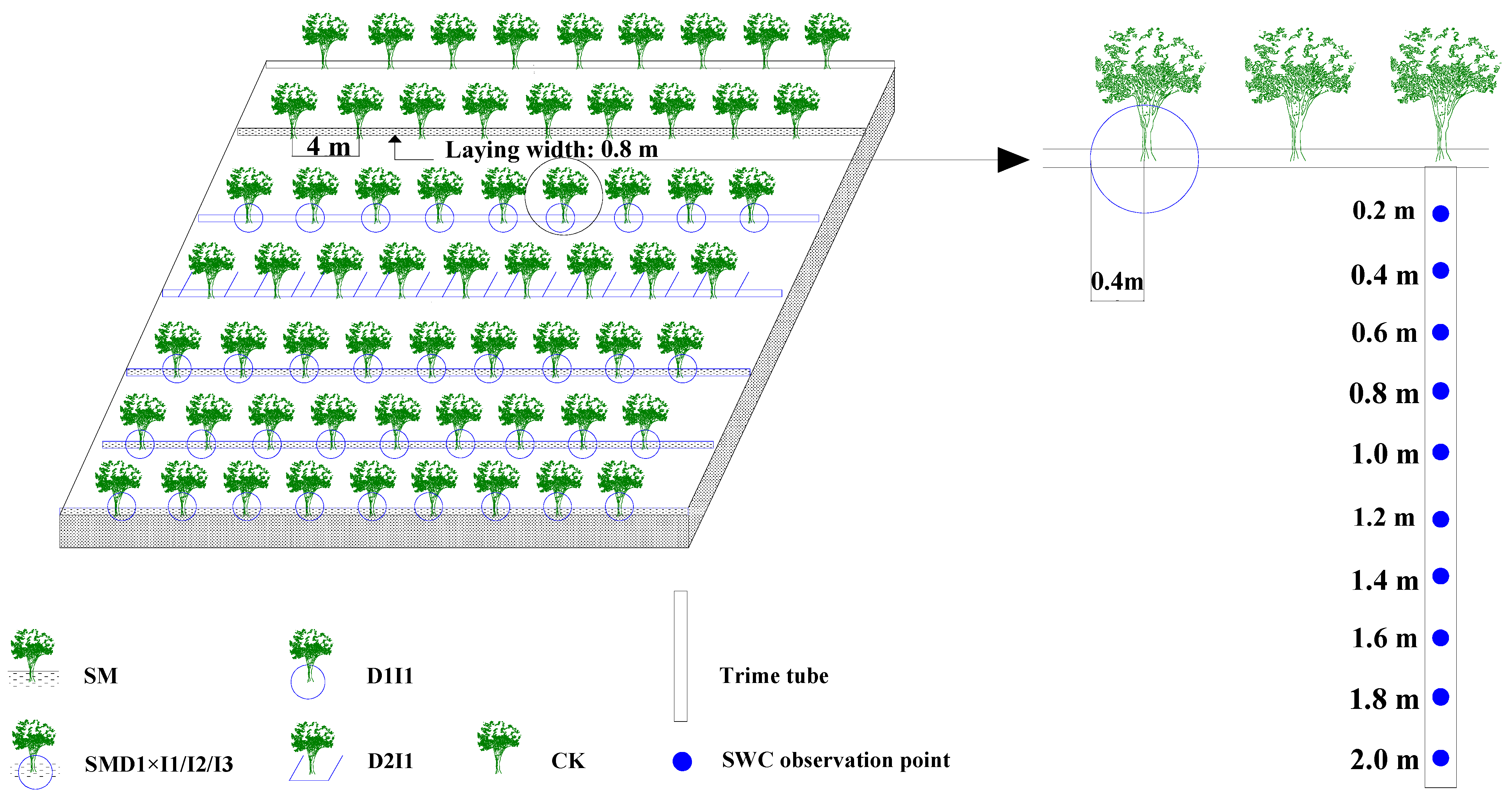 Agronomy 14 01531 g002