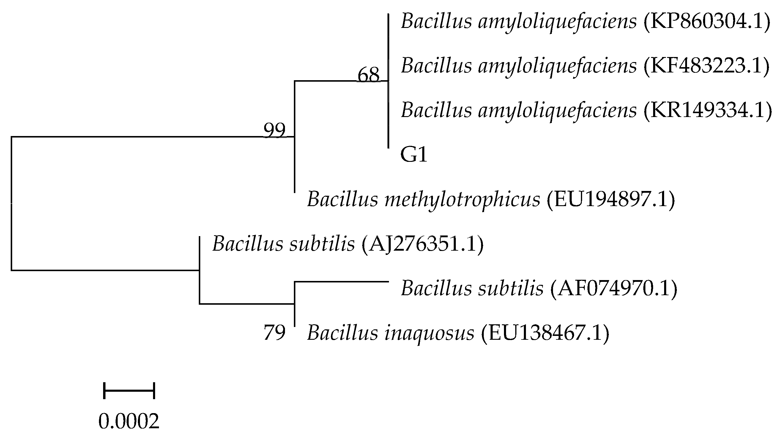 Agronomy 14 01532 g004