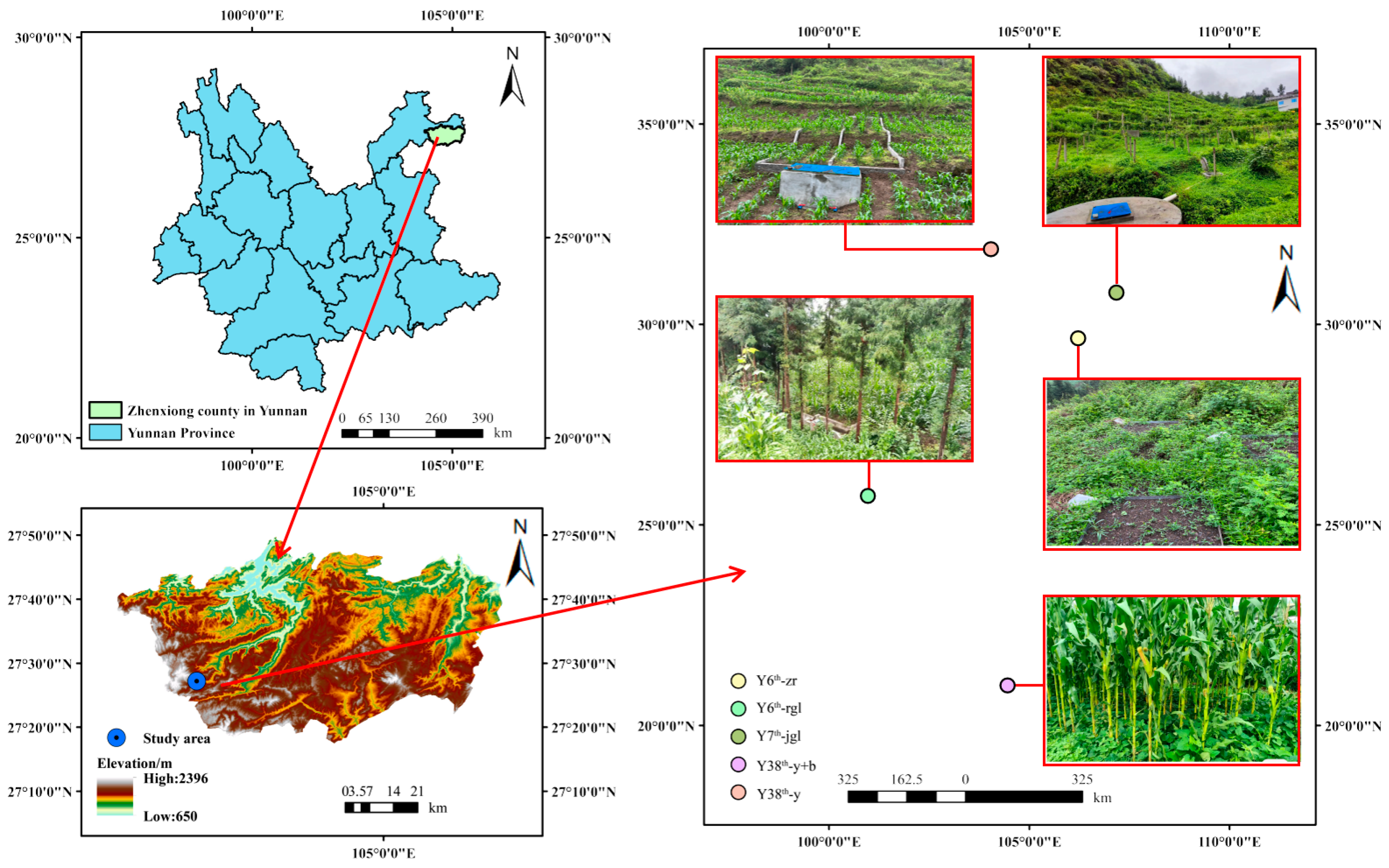 Effects of Land Use Change on Soil Aggregate Stability and