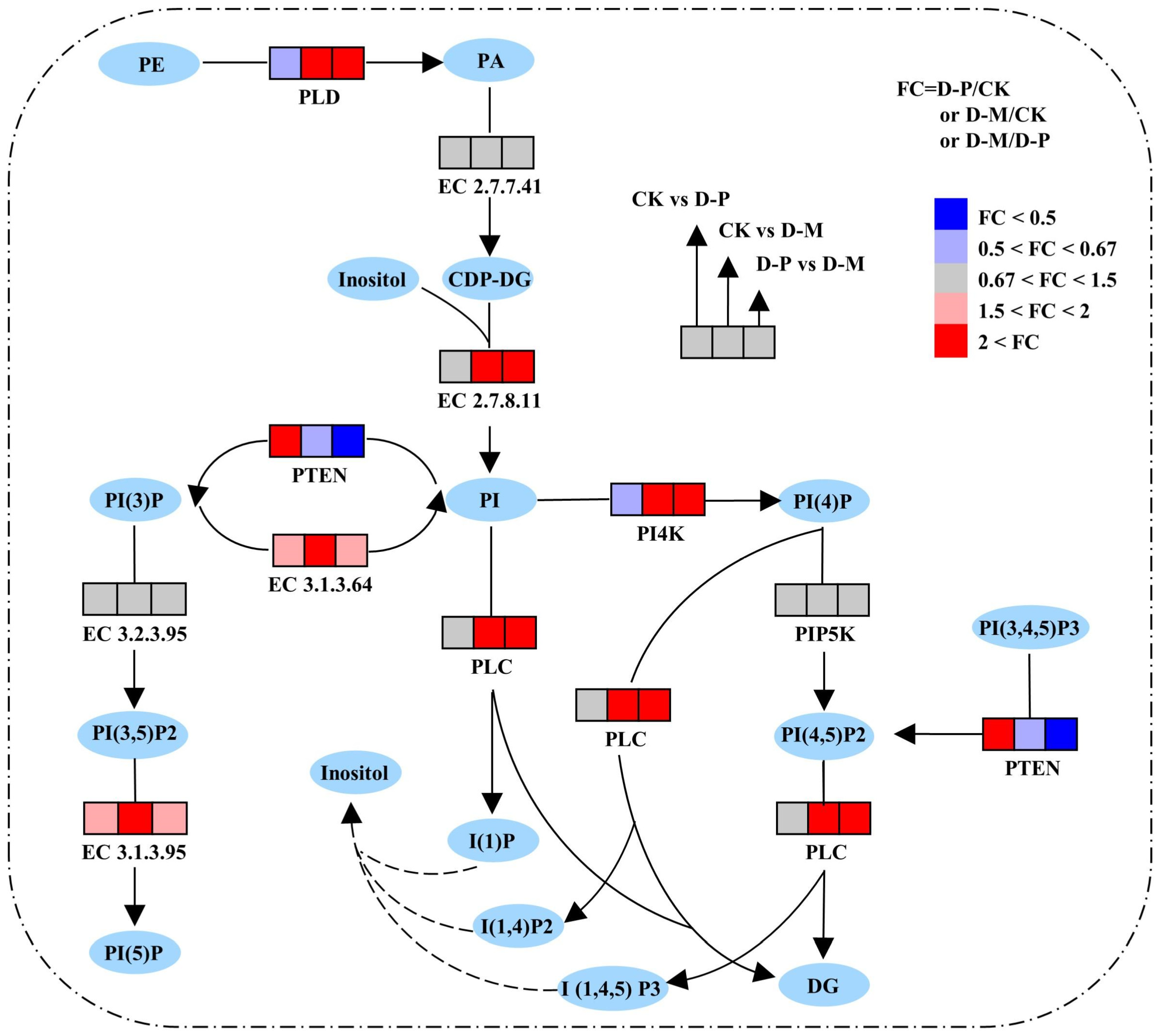 Agronomy 14 01539 g003