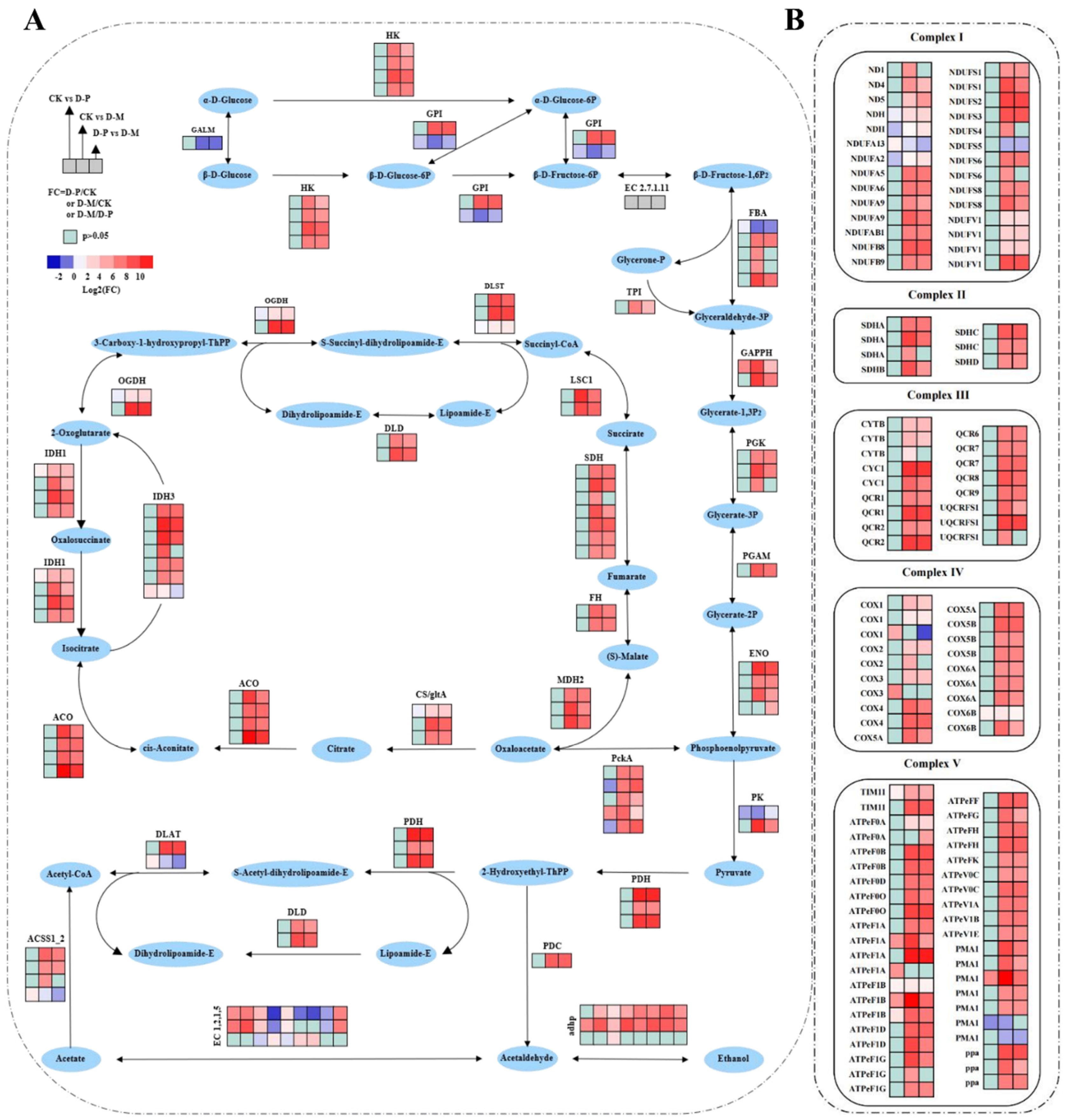 Agronomy 14 01539 g006