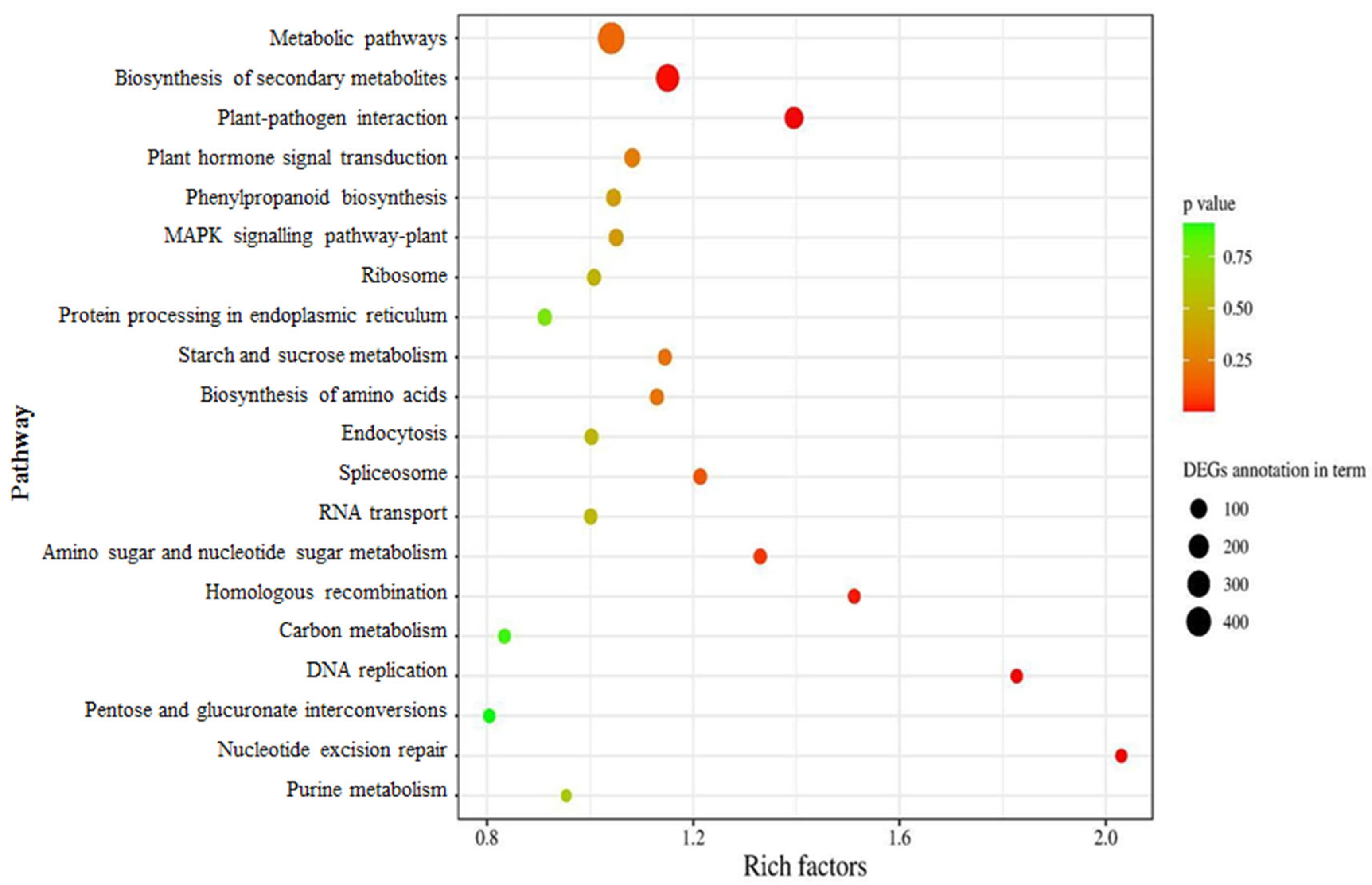 Agronomy 14 01547 g005